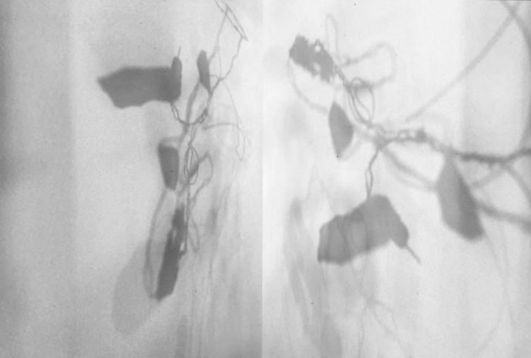 Where Had I Gone by Alex Jaebin Lee — image 4 of 5