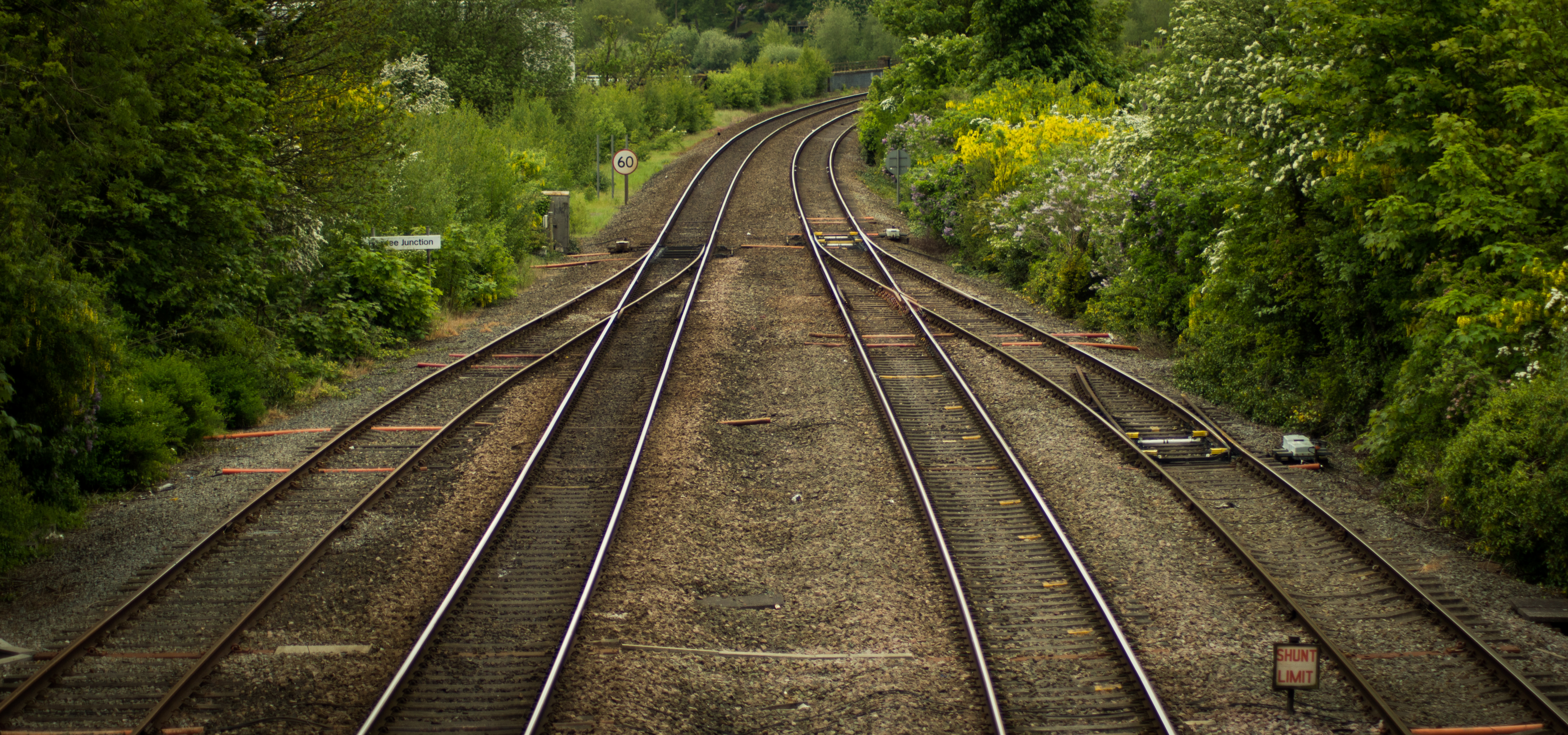 England by Dylan Scillia — image 2 of 5