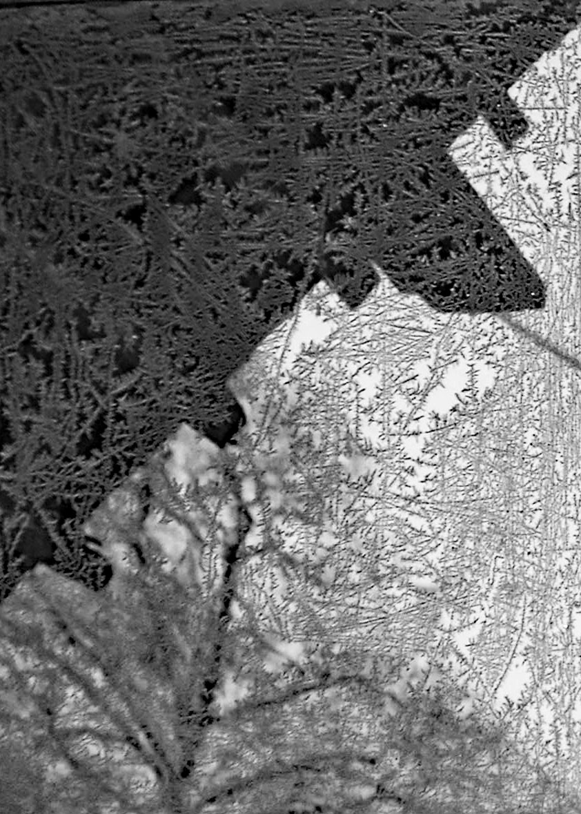 Photography by Creative Nonfiction — image 3 of 6