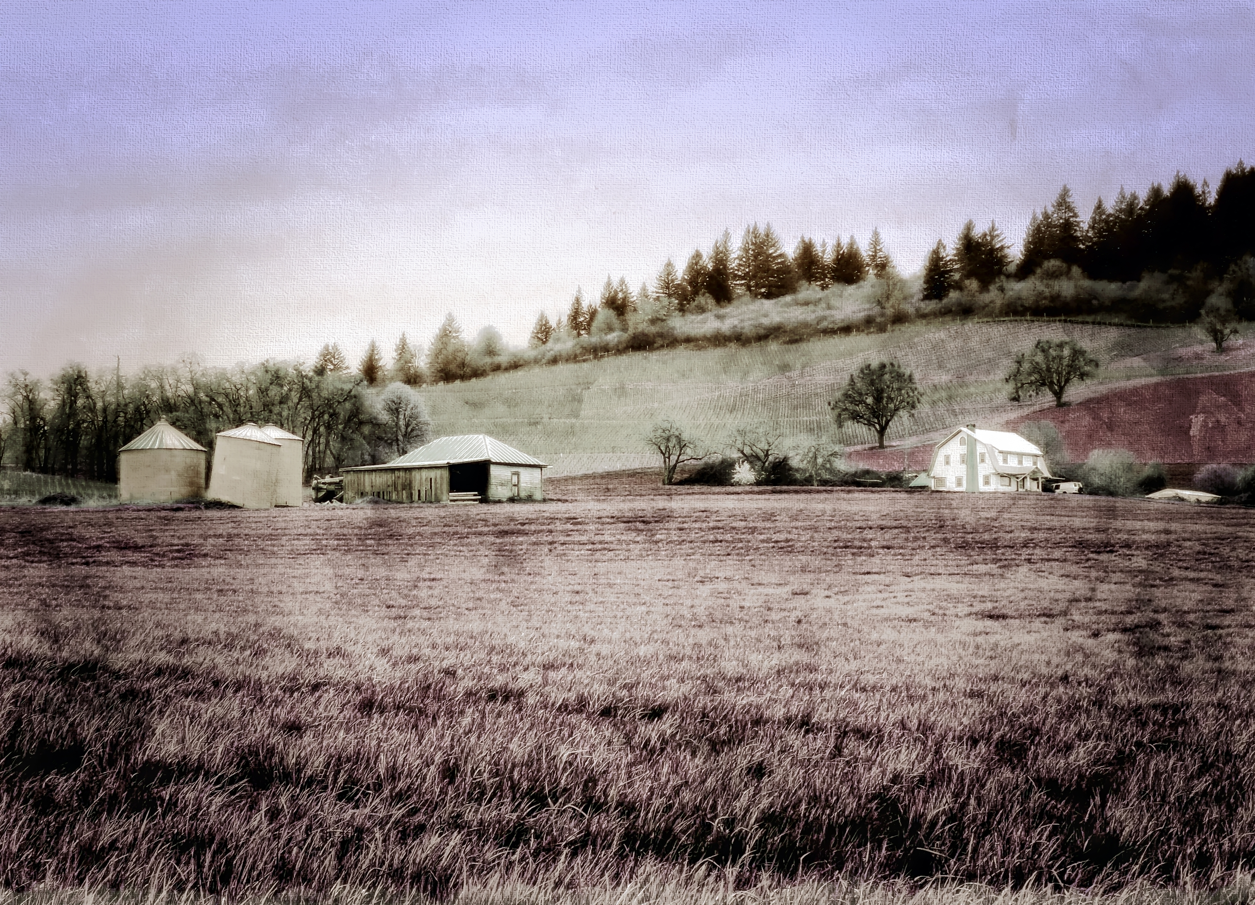 Rural Routes by River Teeth — image 3 of 5