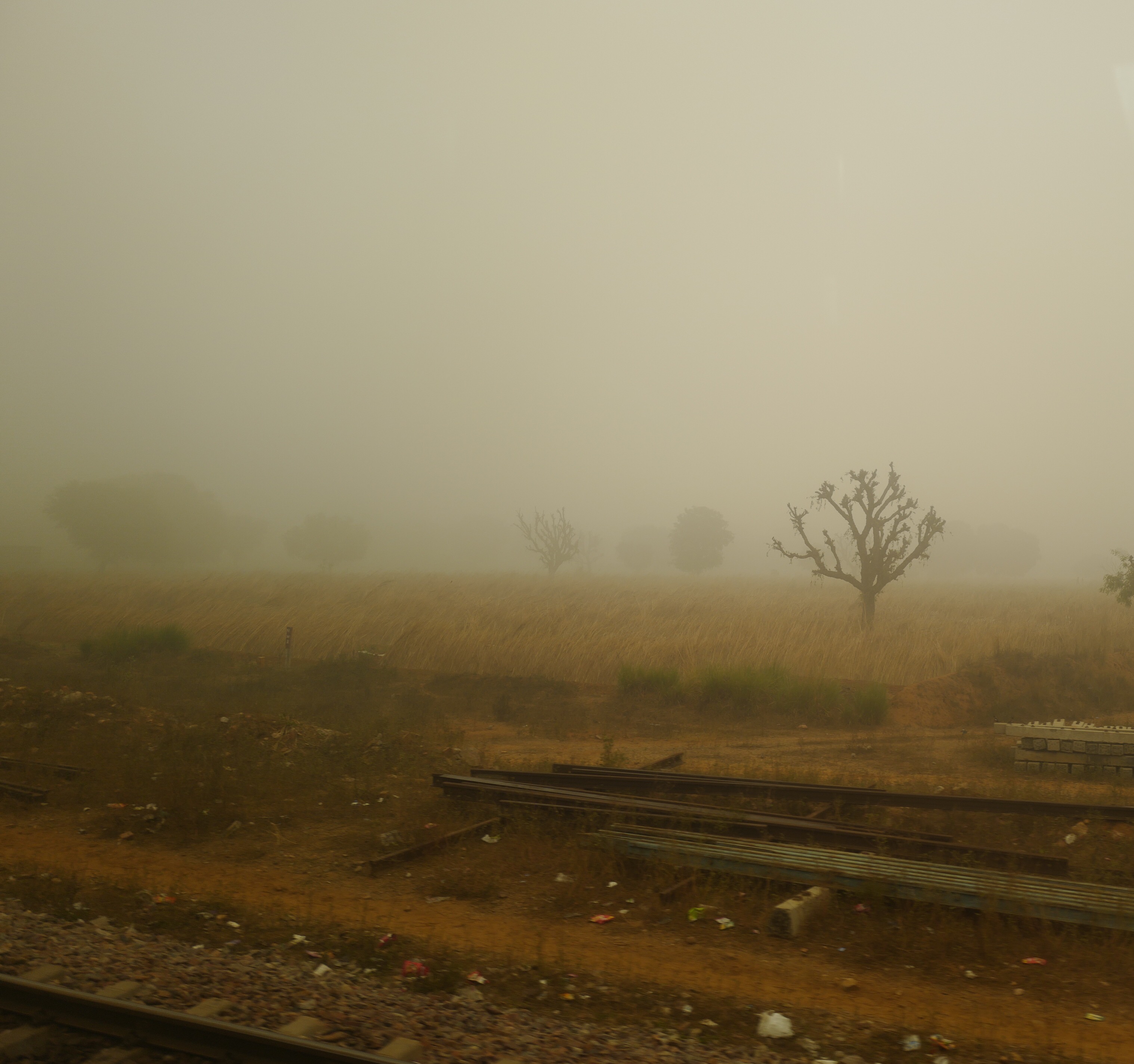 Dawn by Buku Sarkar — image 1 of 4