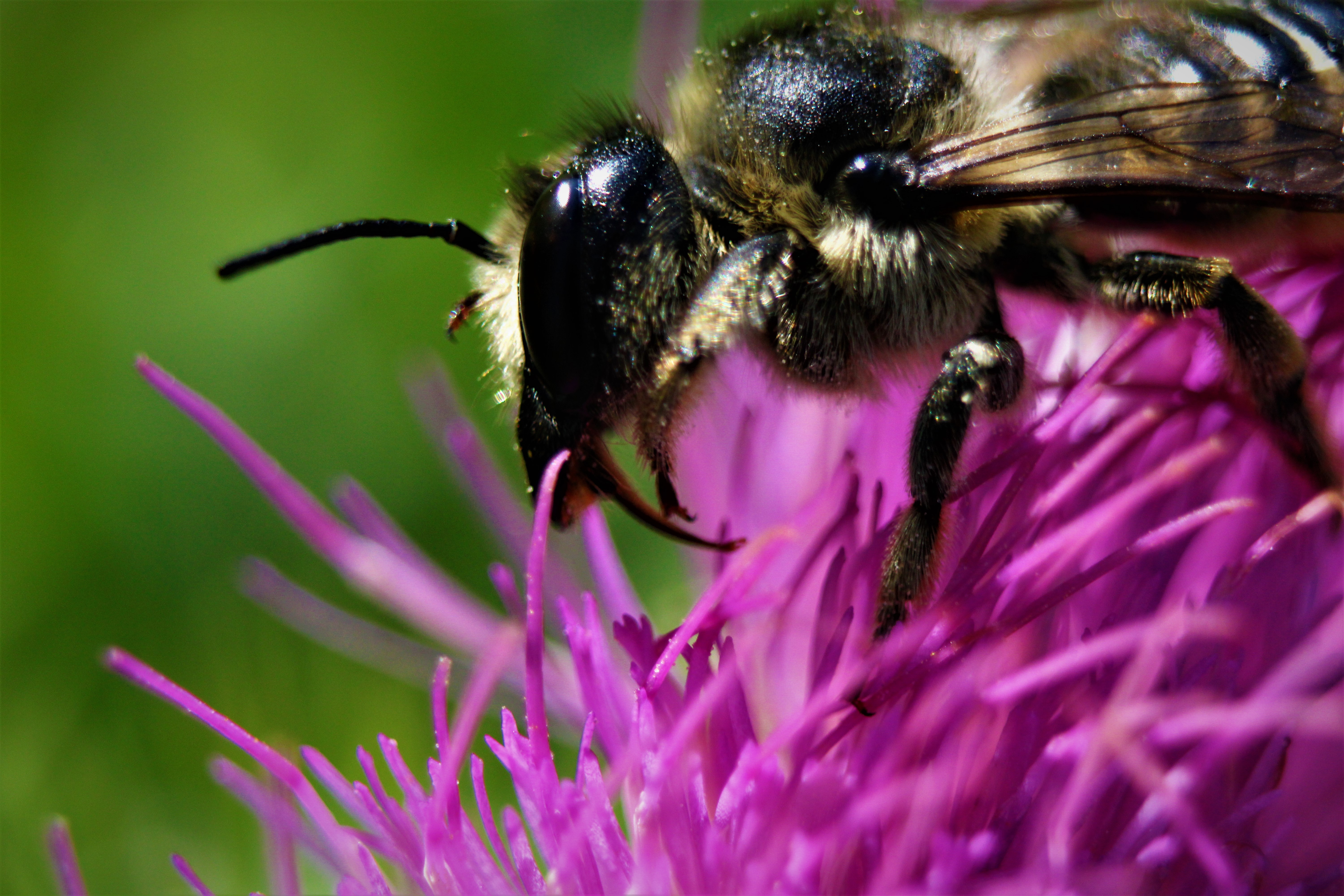 Soon we must sleep by Kirk Eckstine — image 5 of 5