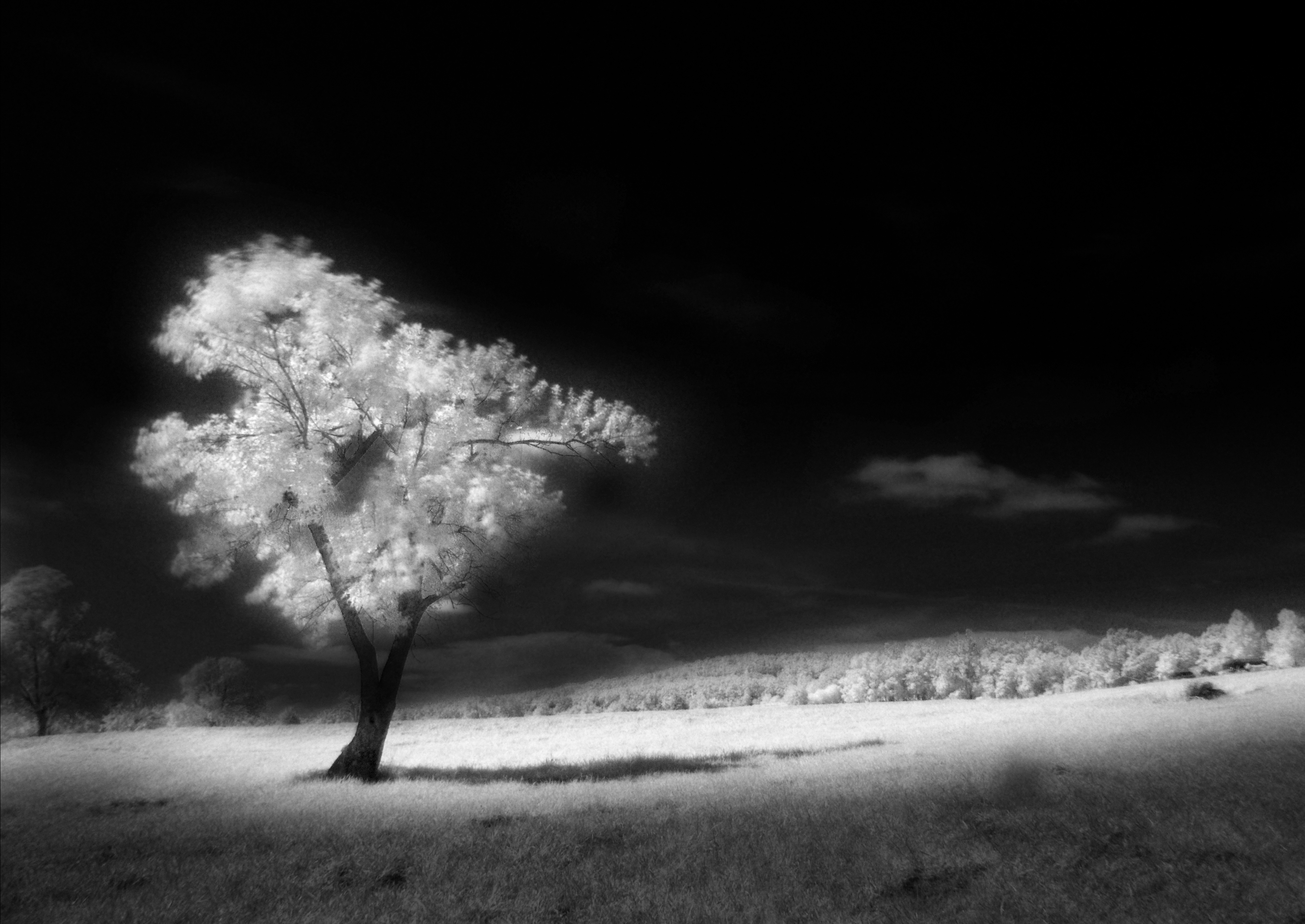 Invisible Light: Ozarks by Adam Ritchey — image 1 of 4