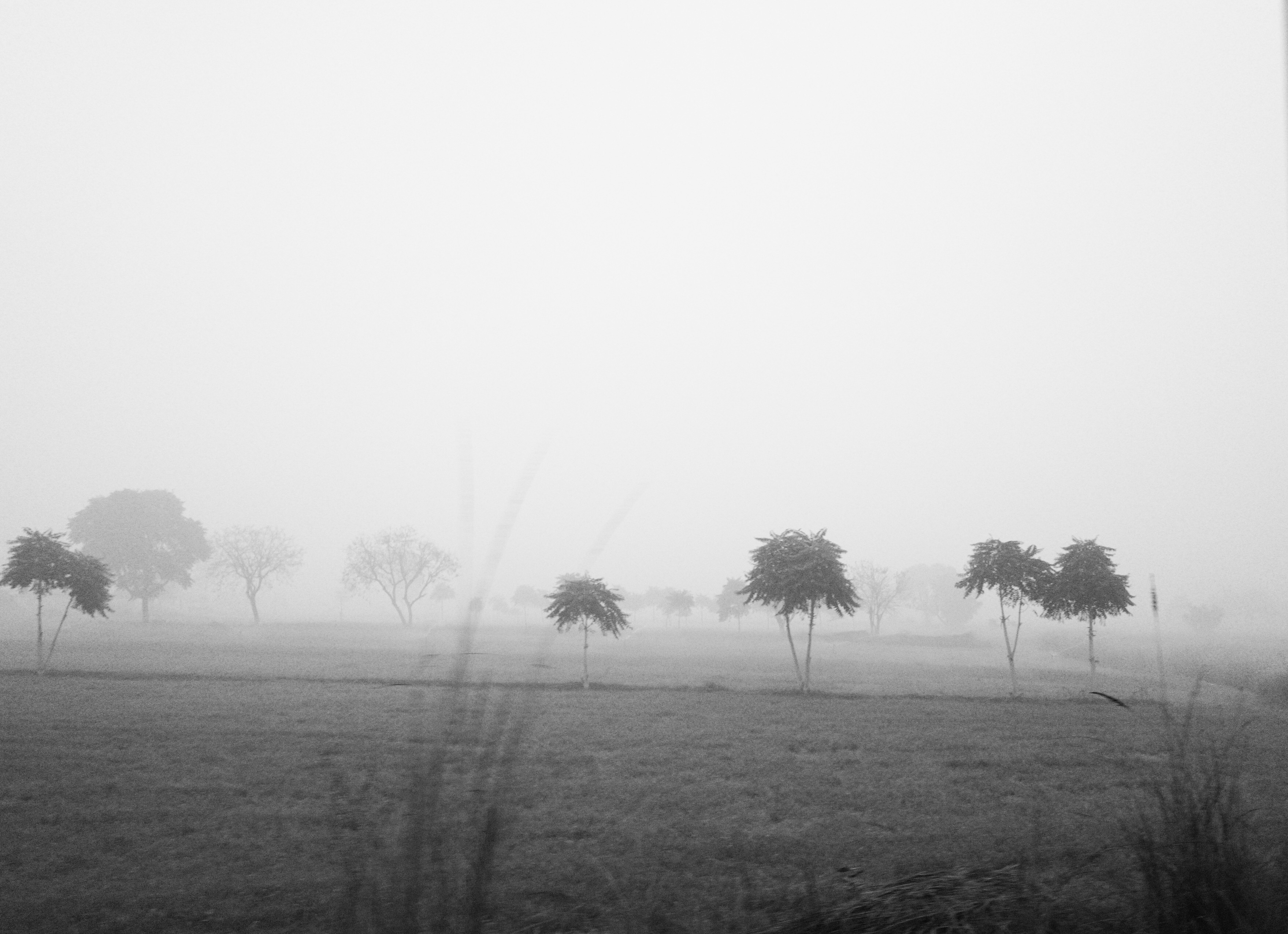 Dawn by Buku Sarkar — image 2 of 4