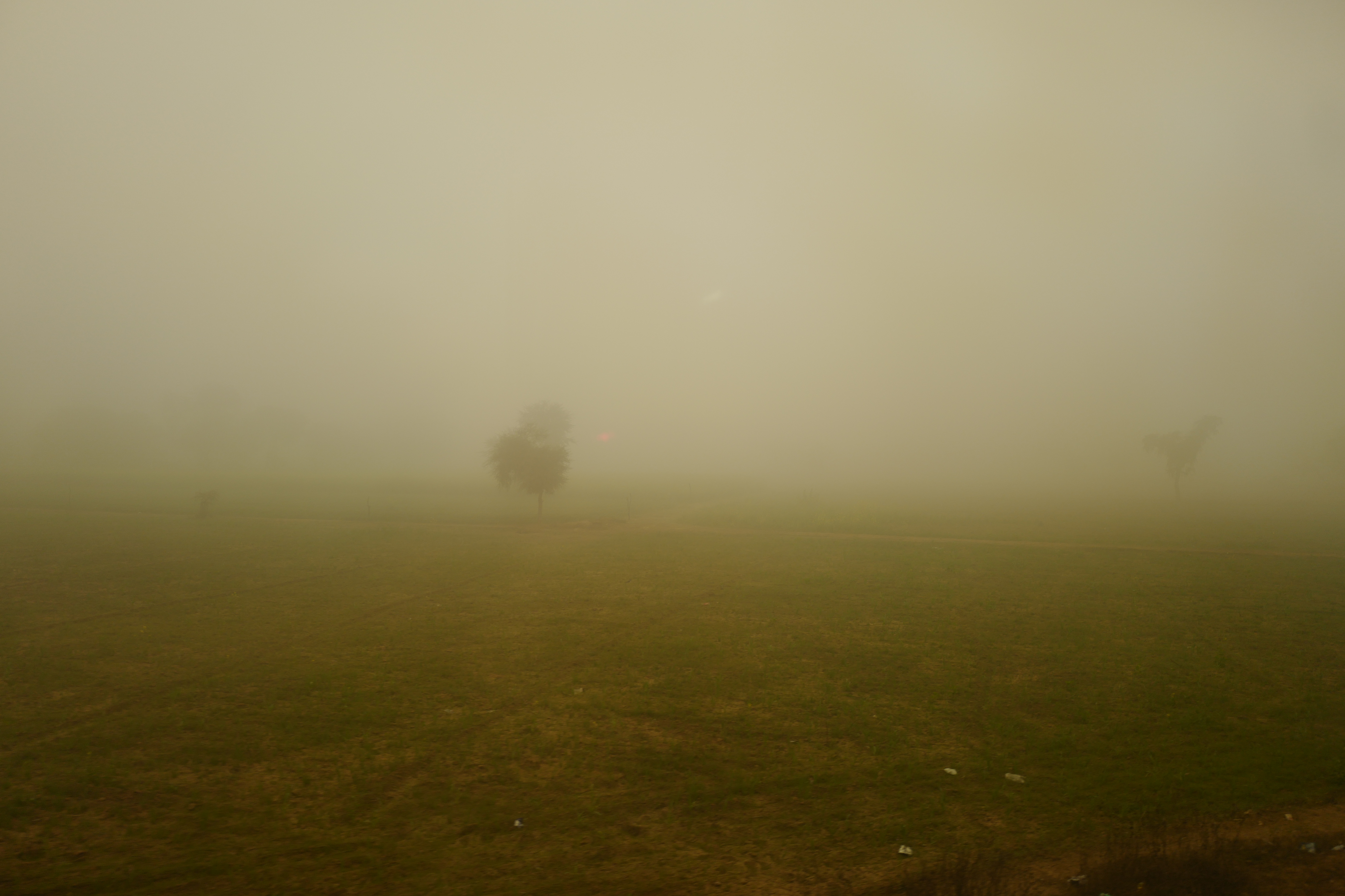 Dawn by Buku Sarkar — image 3 of 4