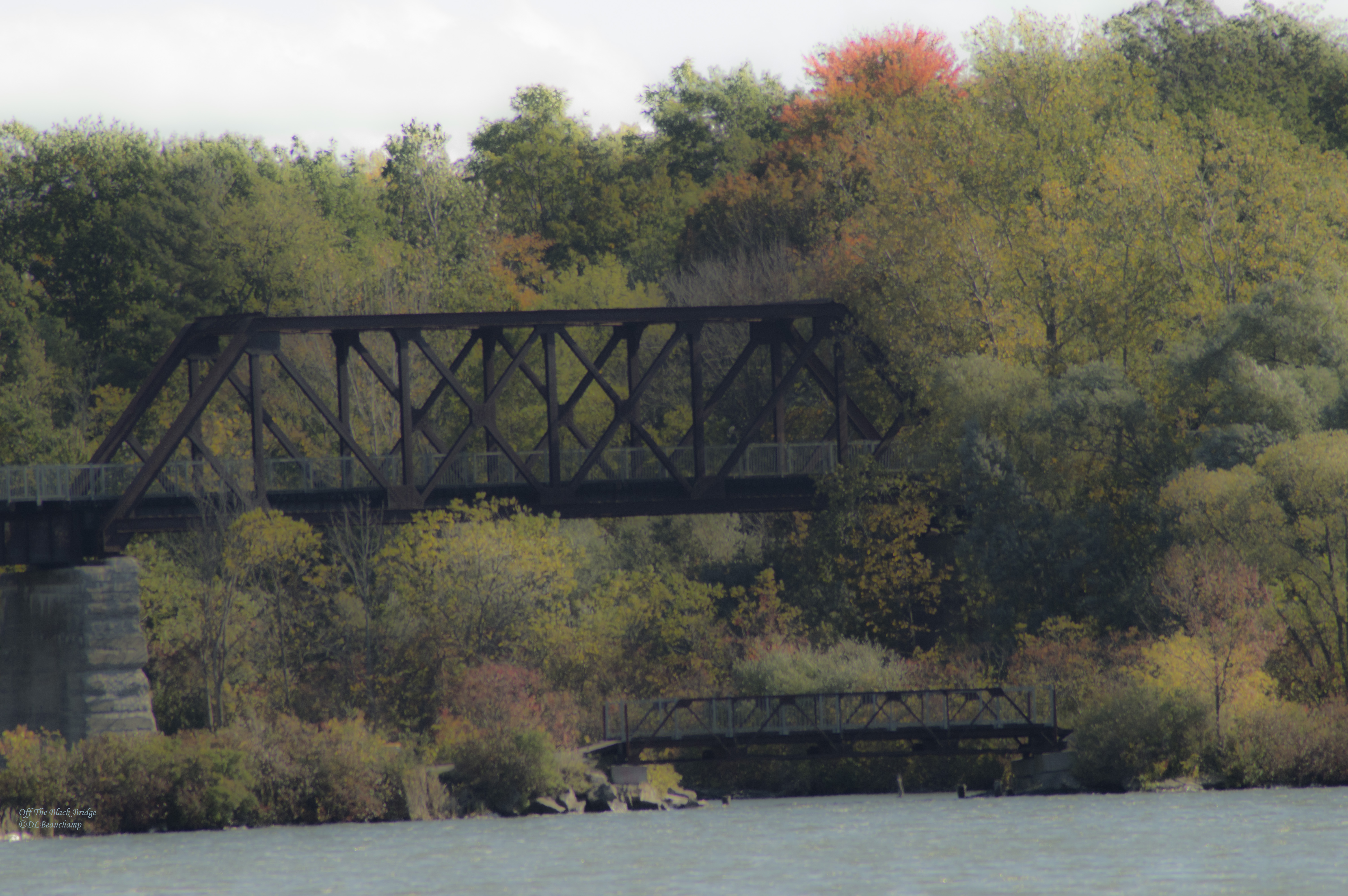 Reflections by Deborah Beauchamp — image 2 of 5