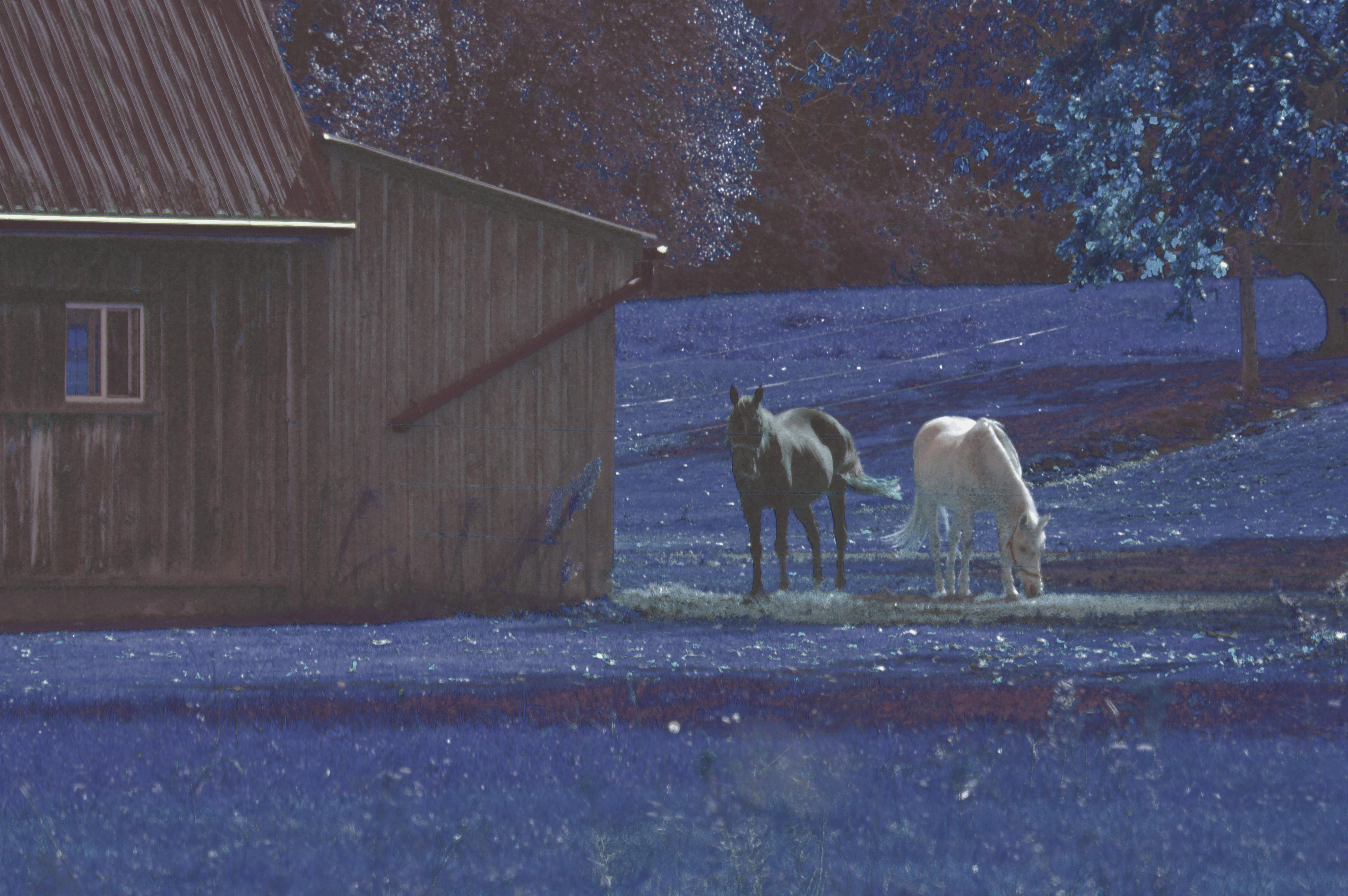 Reflections by Deborah Beauchamp — image 3 of 5