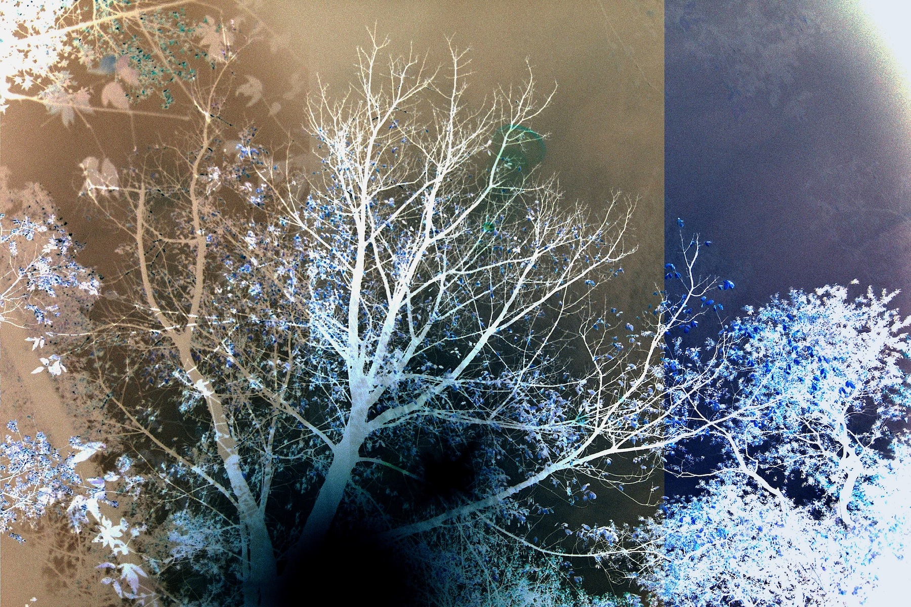 Transitory Space by Leah Oates — image 3 of 6