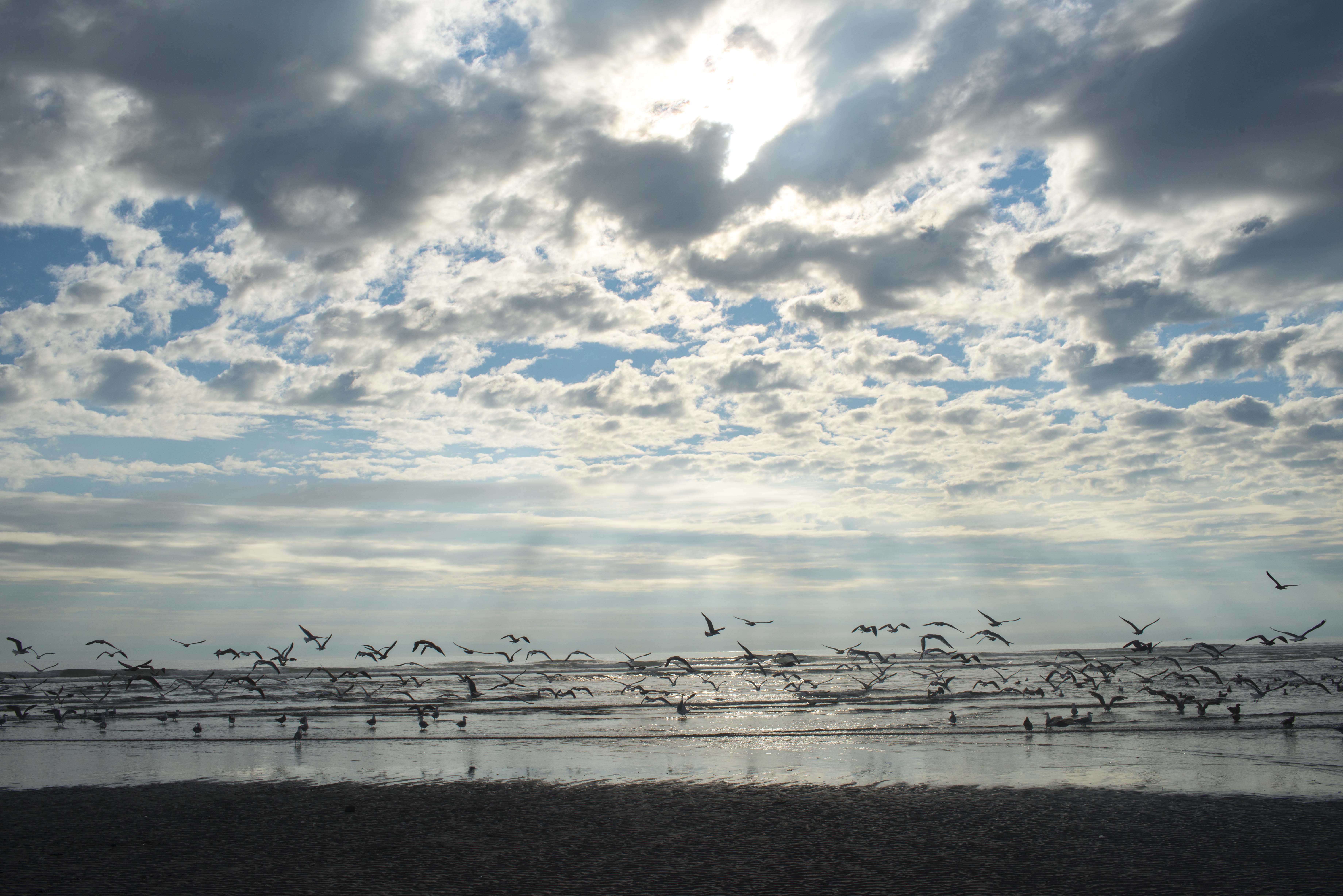 America's National Parks by Justin Krickovich — image 4 of 5