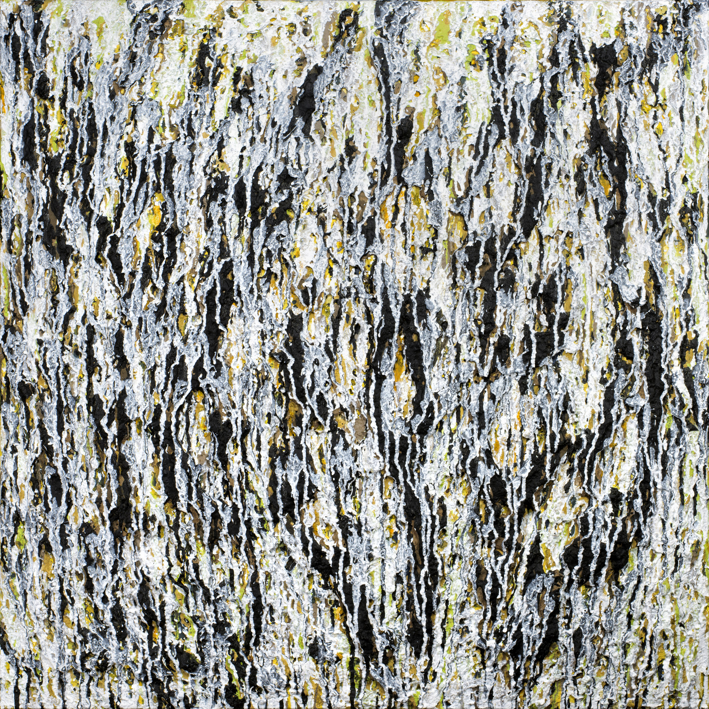 in that hall, i forgot by American Midwest — image 4 of 5