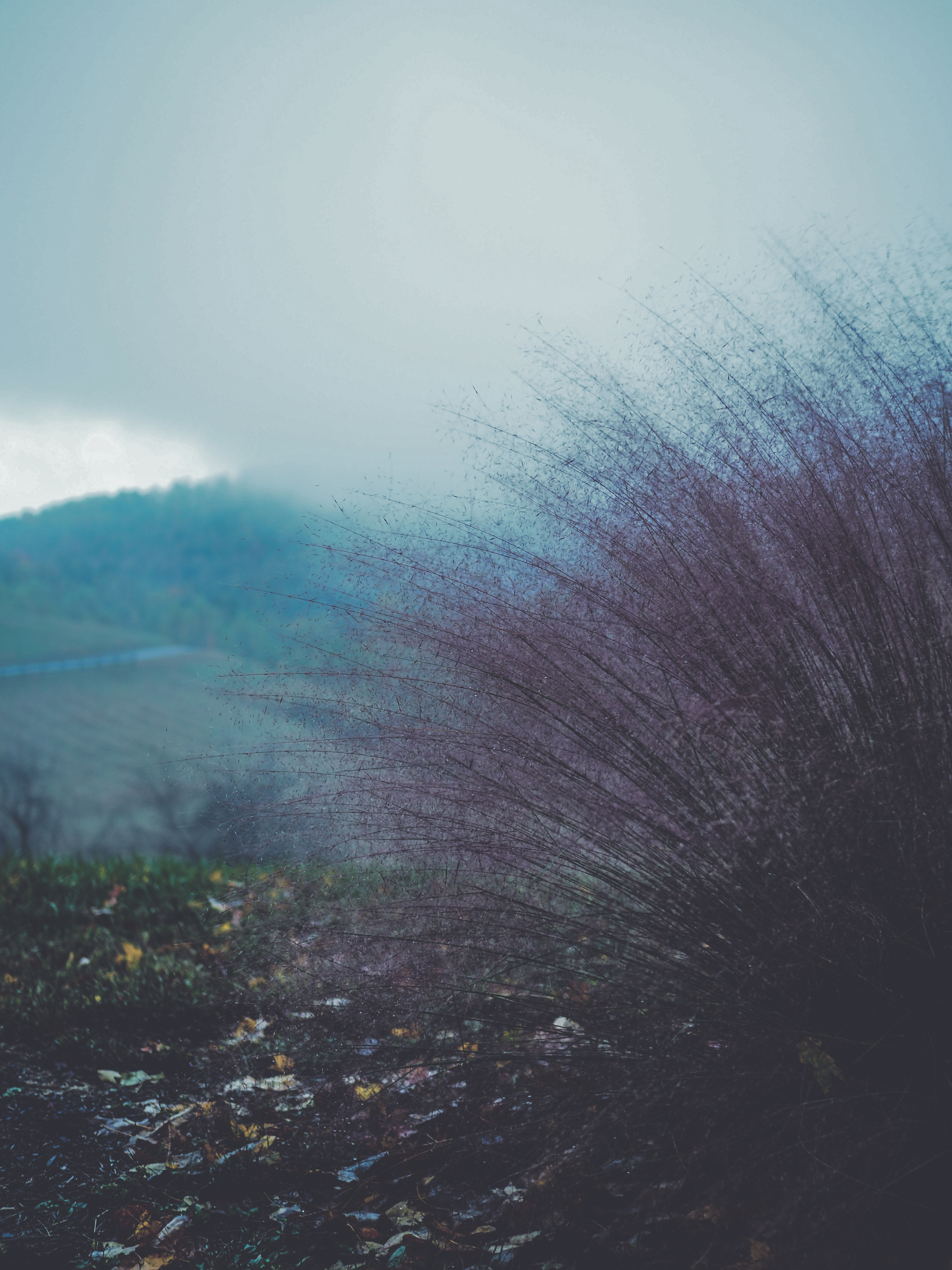 Moravian Falls by Ashley Blake — image 2 of 3