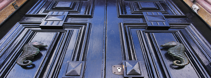 termite reverie by Rim Afana — image 5 of 5