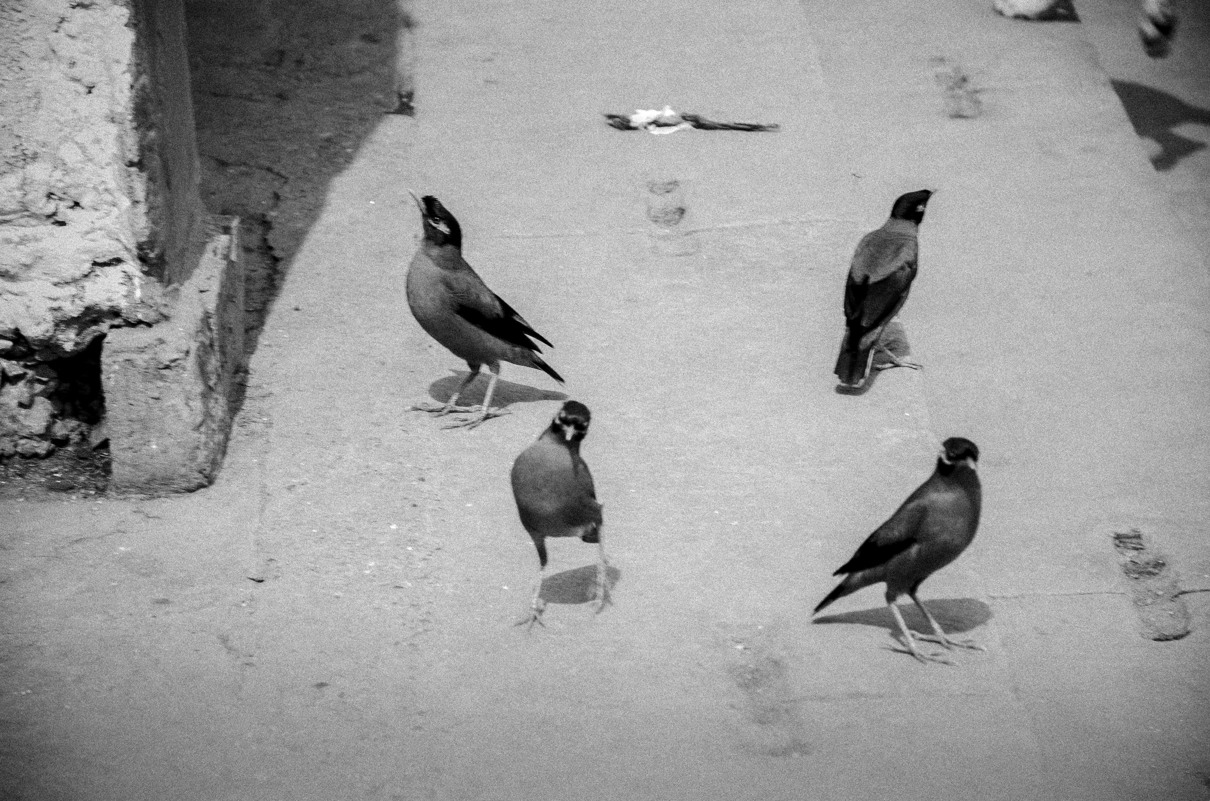 People, Nature, Objects by Vijay Sarathi — image 3 of 4