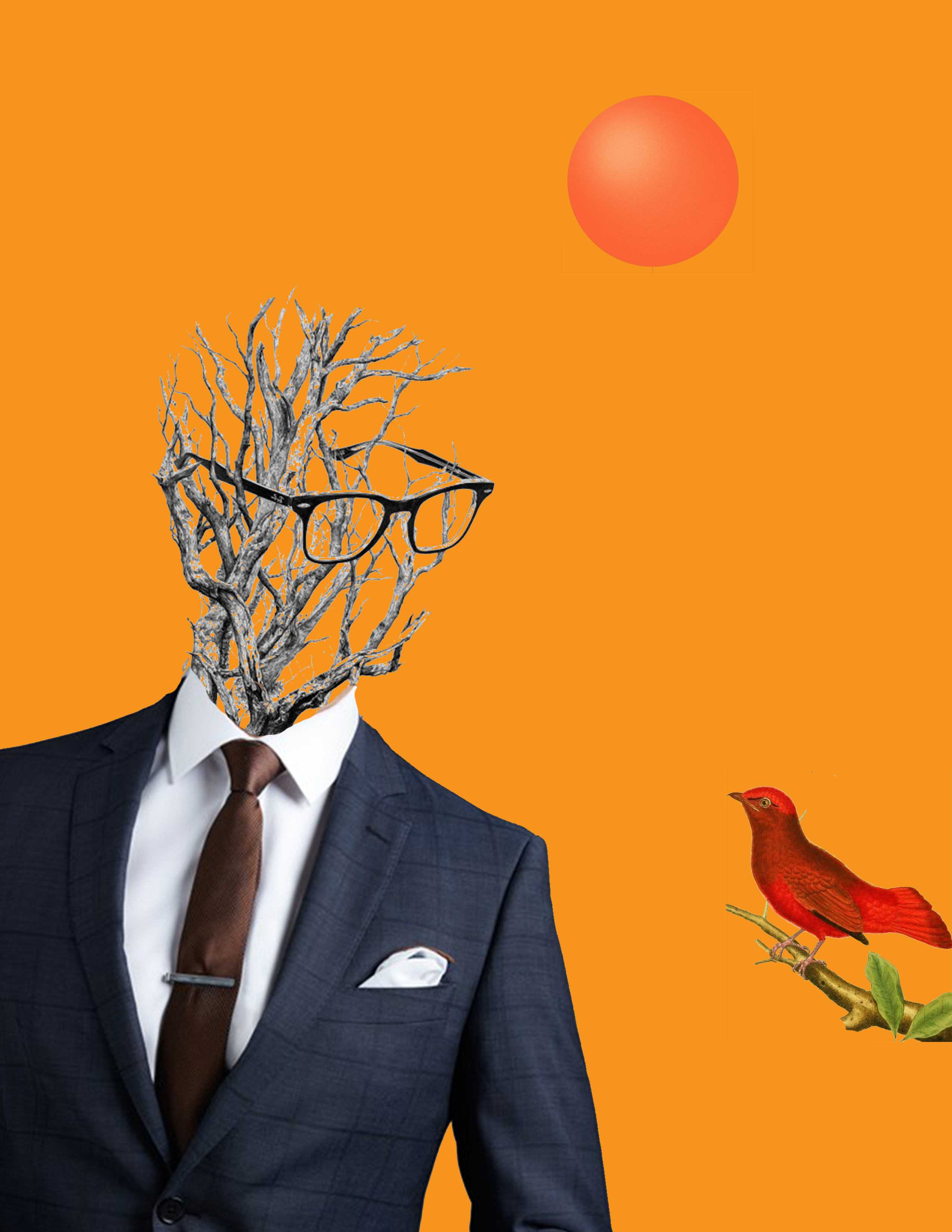 Delusions of Grandeur by Tom Brzezina — image 3 of 3