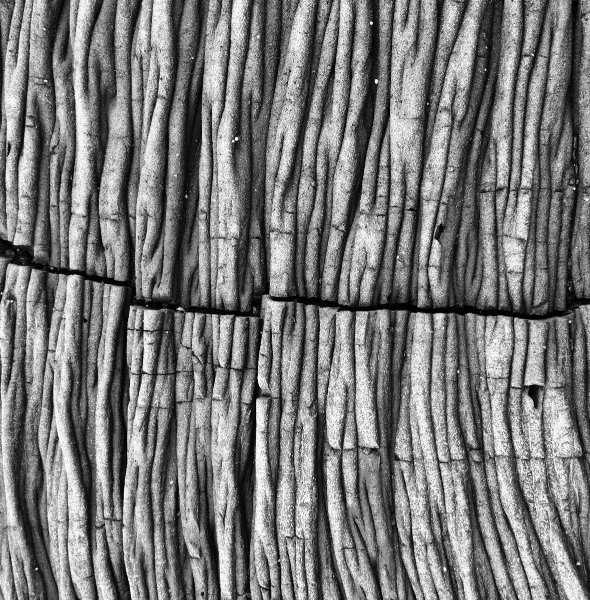 Cold Lava by CoCo Harris — image 4 of 5