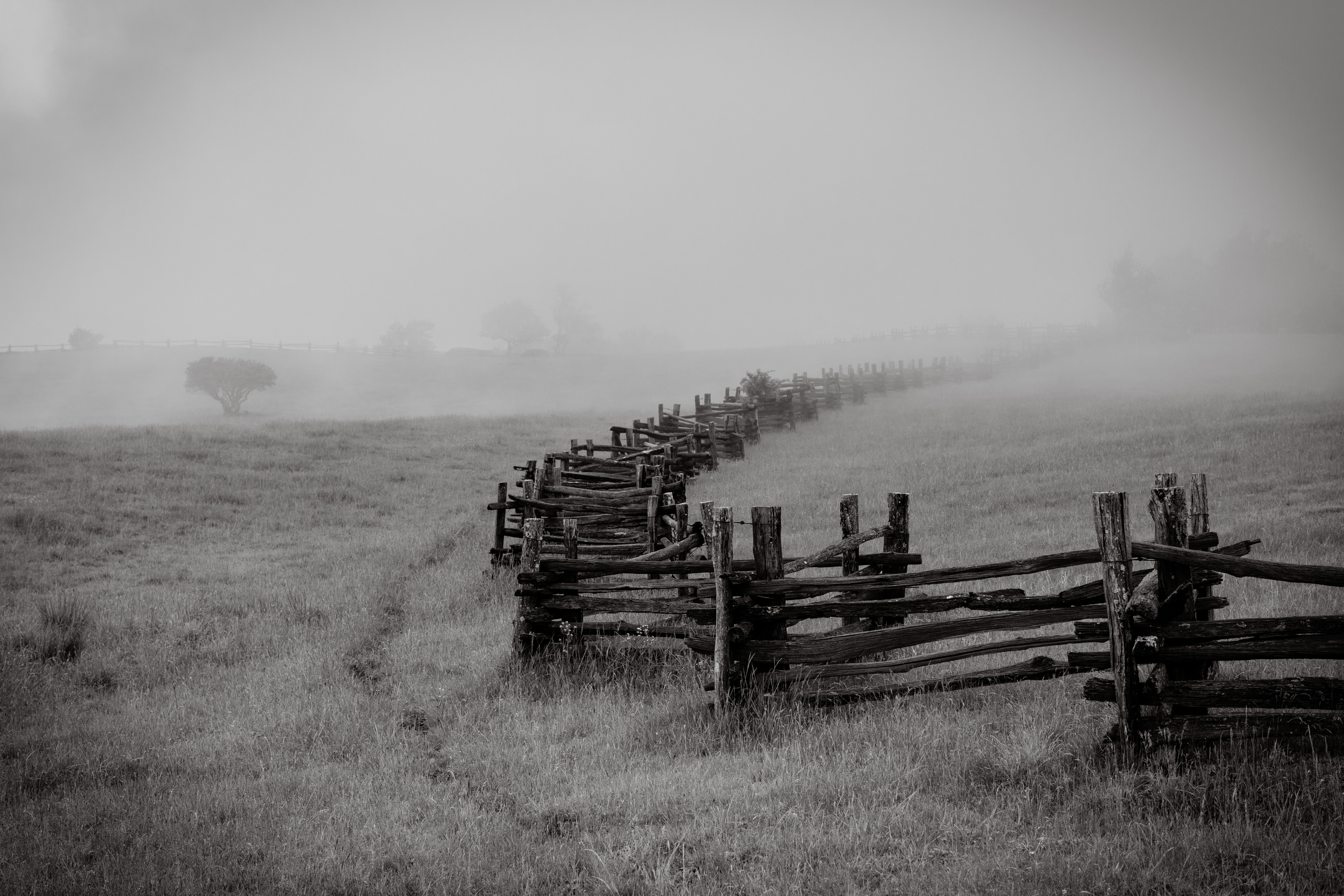Escarpment Fog by Benjamin Erlandson — image 2 of 5