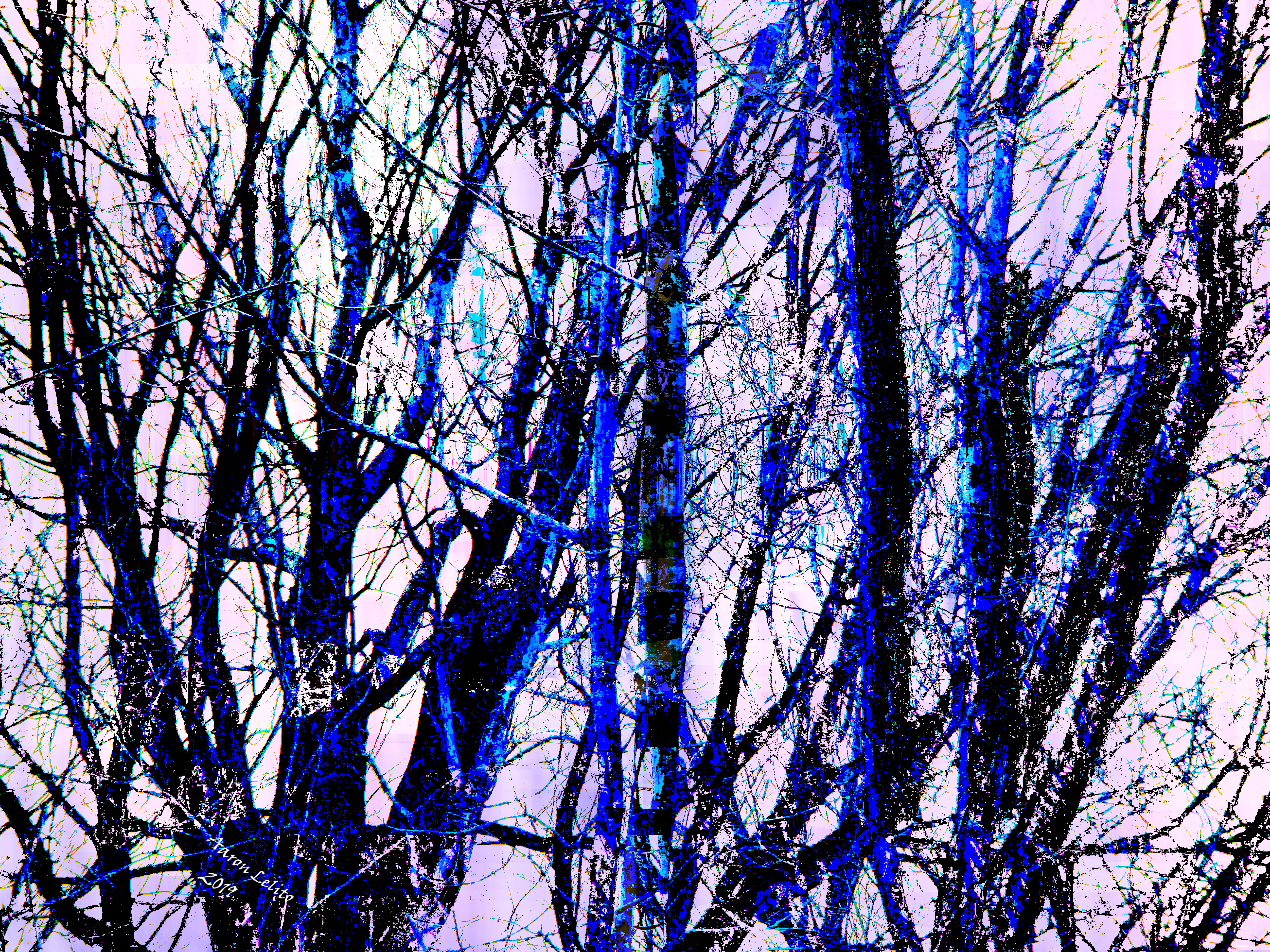 The Sedulous Speech of Fruit As It Falls by Aaron Lelito — image 1 of 3