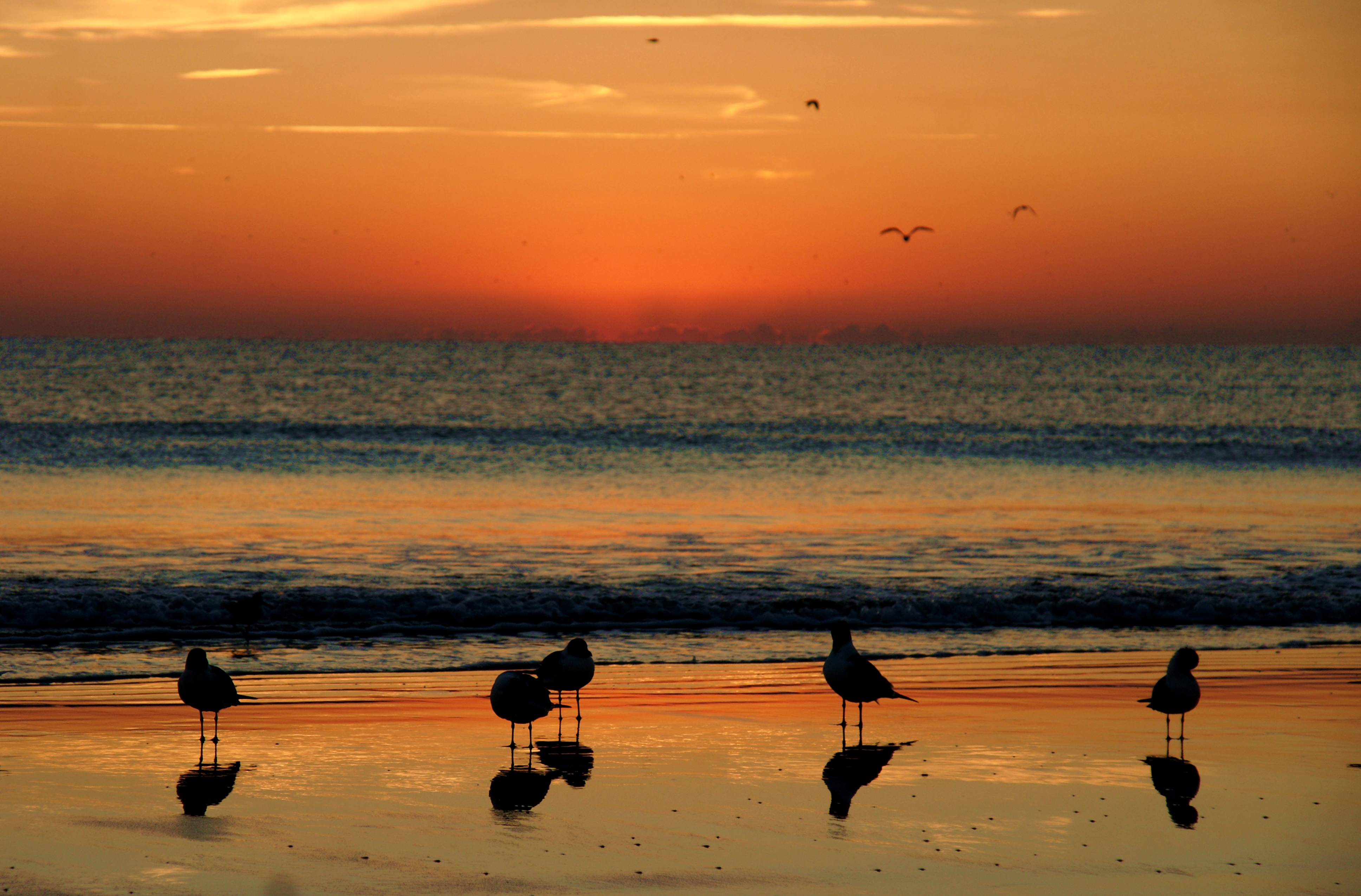 waiting for the sun by George L Stein — image 3 of 6