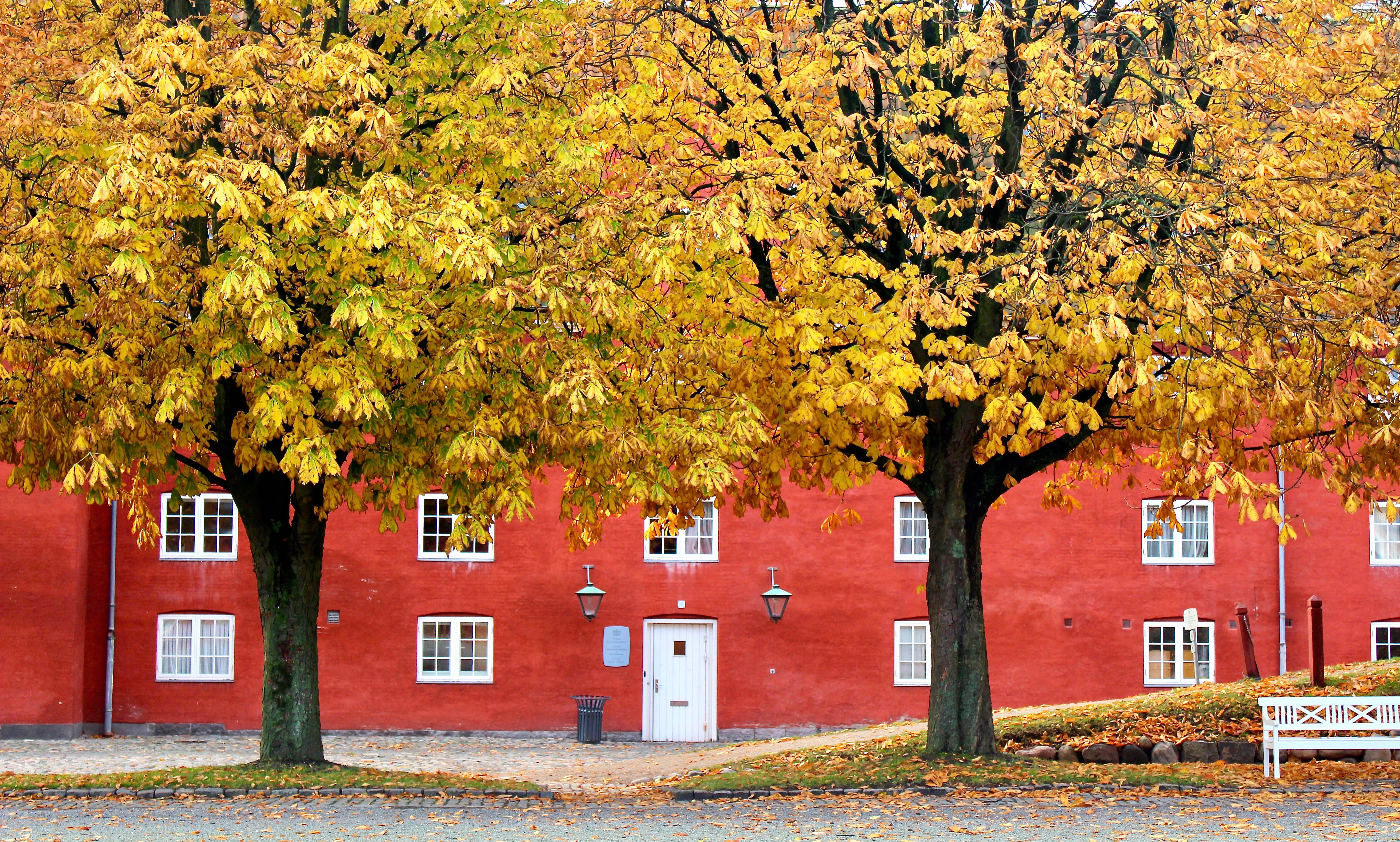 Glimpse. by Kelsey Layne — image 2 of 4