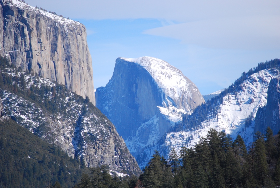 Midwinter Night's Dream by Aubrey Ann Laughlin — image 5 of 6