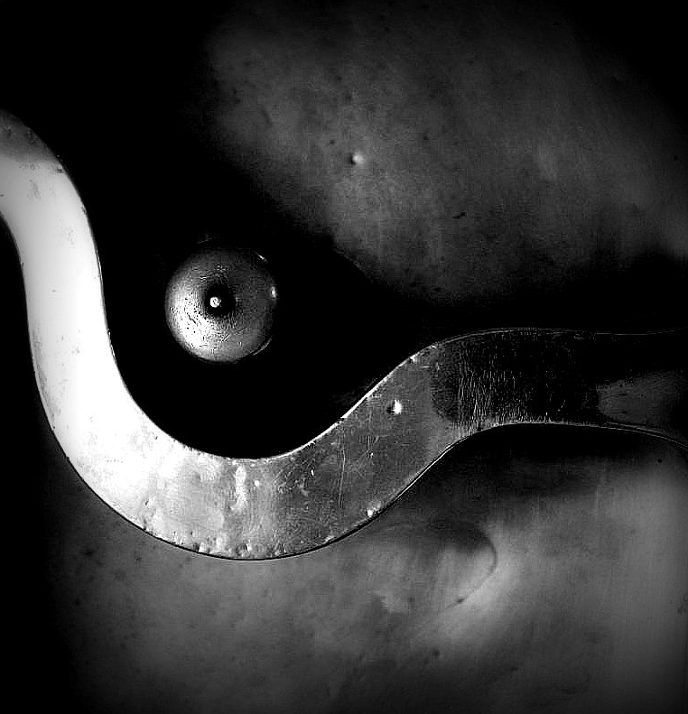 Gillaspy Photography by Thomas Gillaspy — image 3 of 5