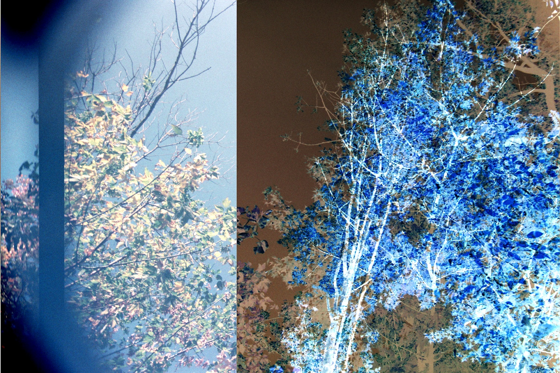 Transitory Space by Leah Oates — image 4 of 6