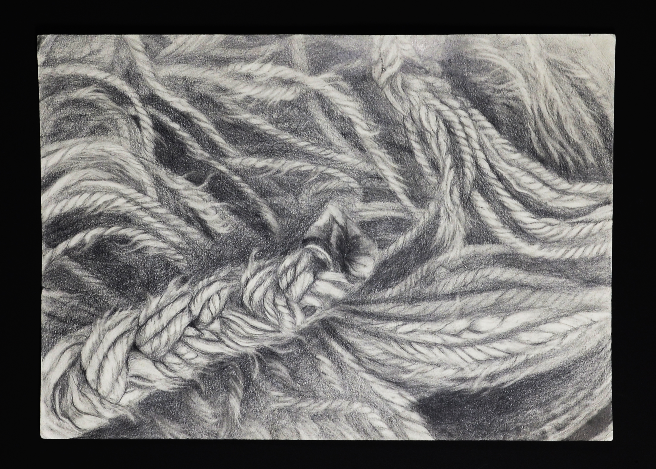 Purple Shoes & Others by LiJune Choi — image 3 of 5