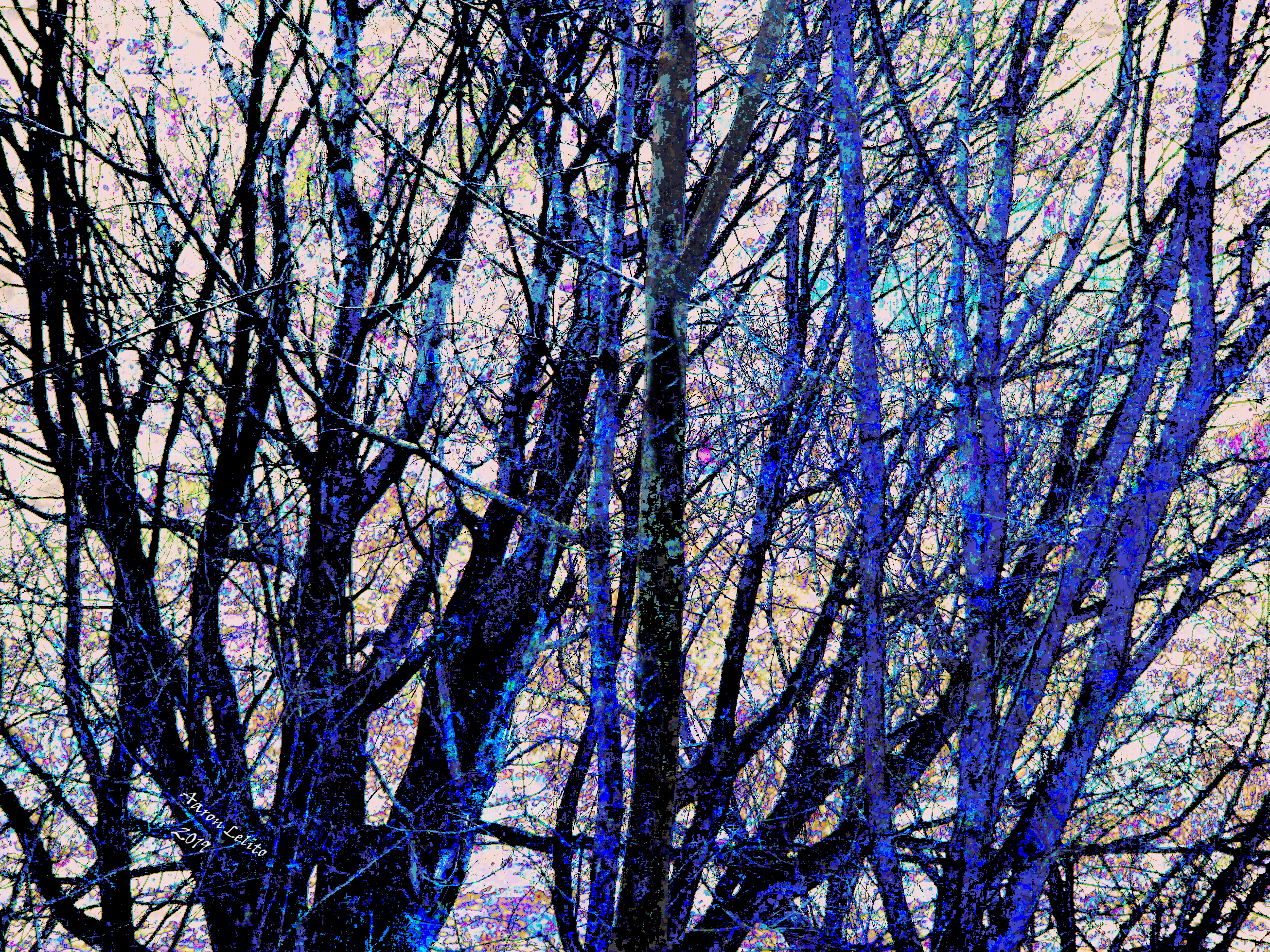 The Sedulous Speech of Fruit As It Falls by Aaron Lelito — image 2 of 3