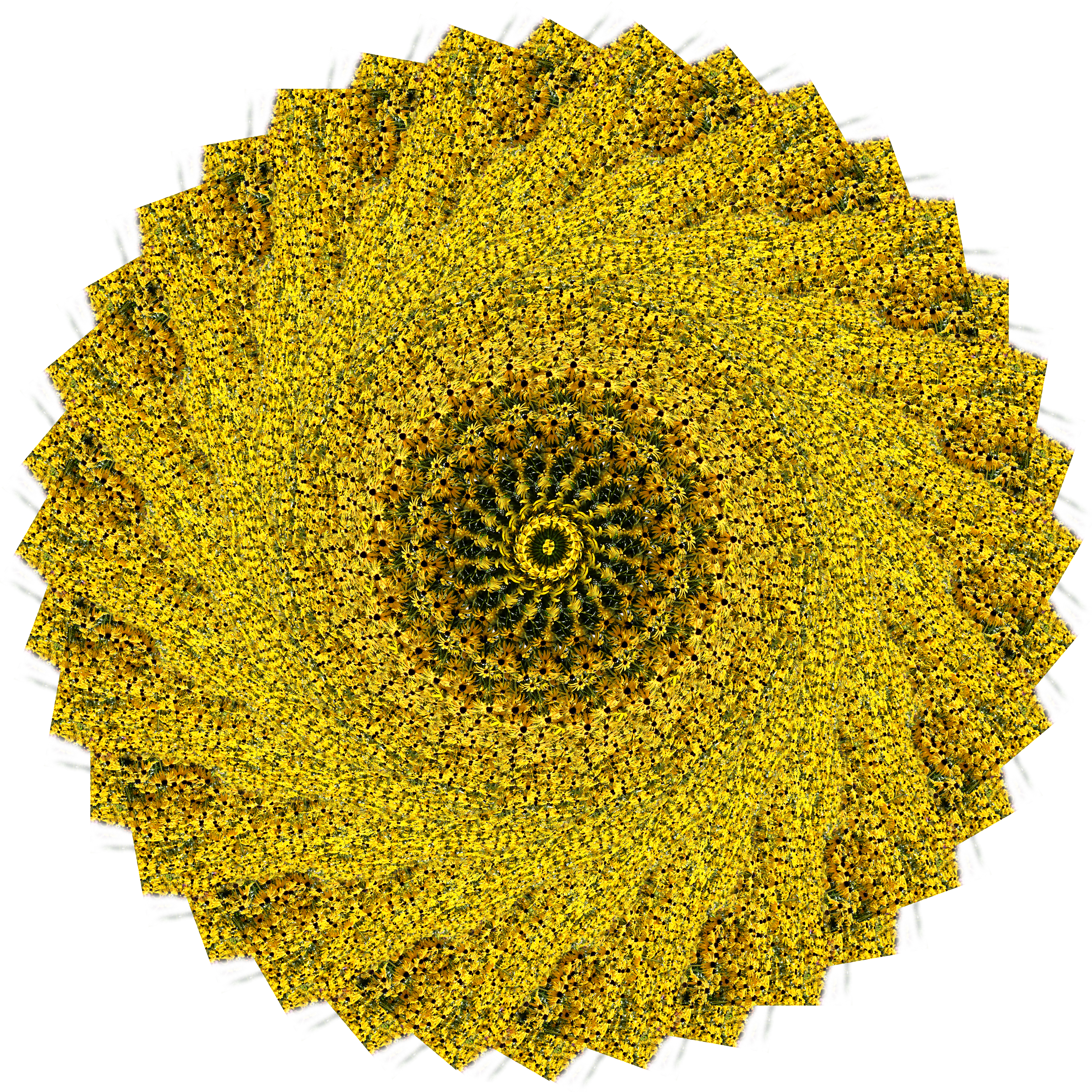 Flower Circles by Harold Olejarz — image 4 of 6