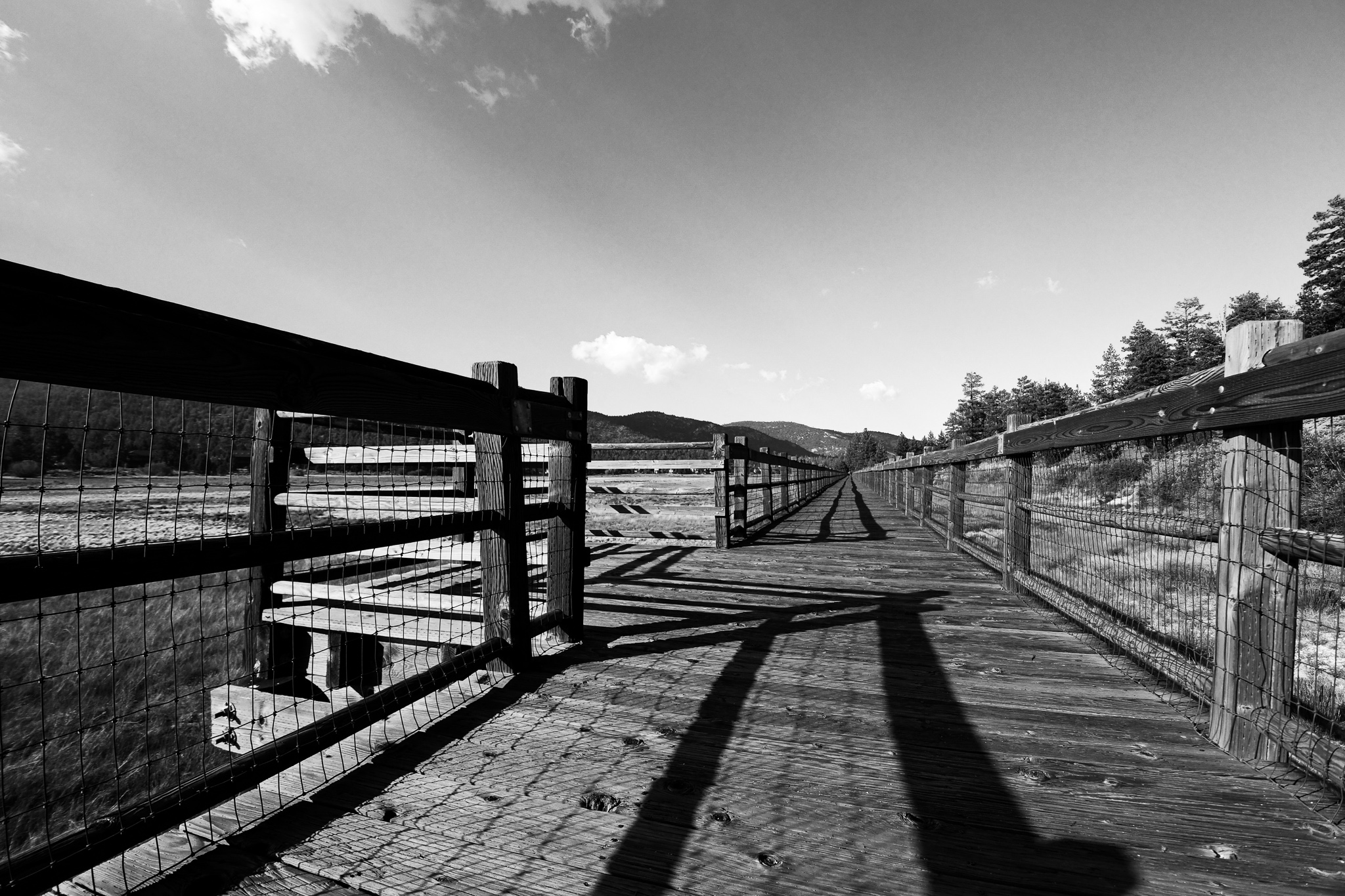 Life in Black & White by Kevin Morris — image 3 of 4