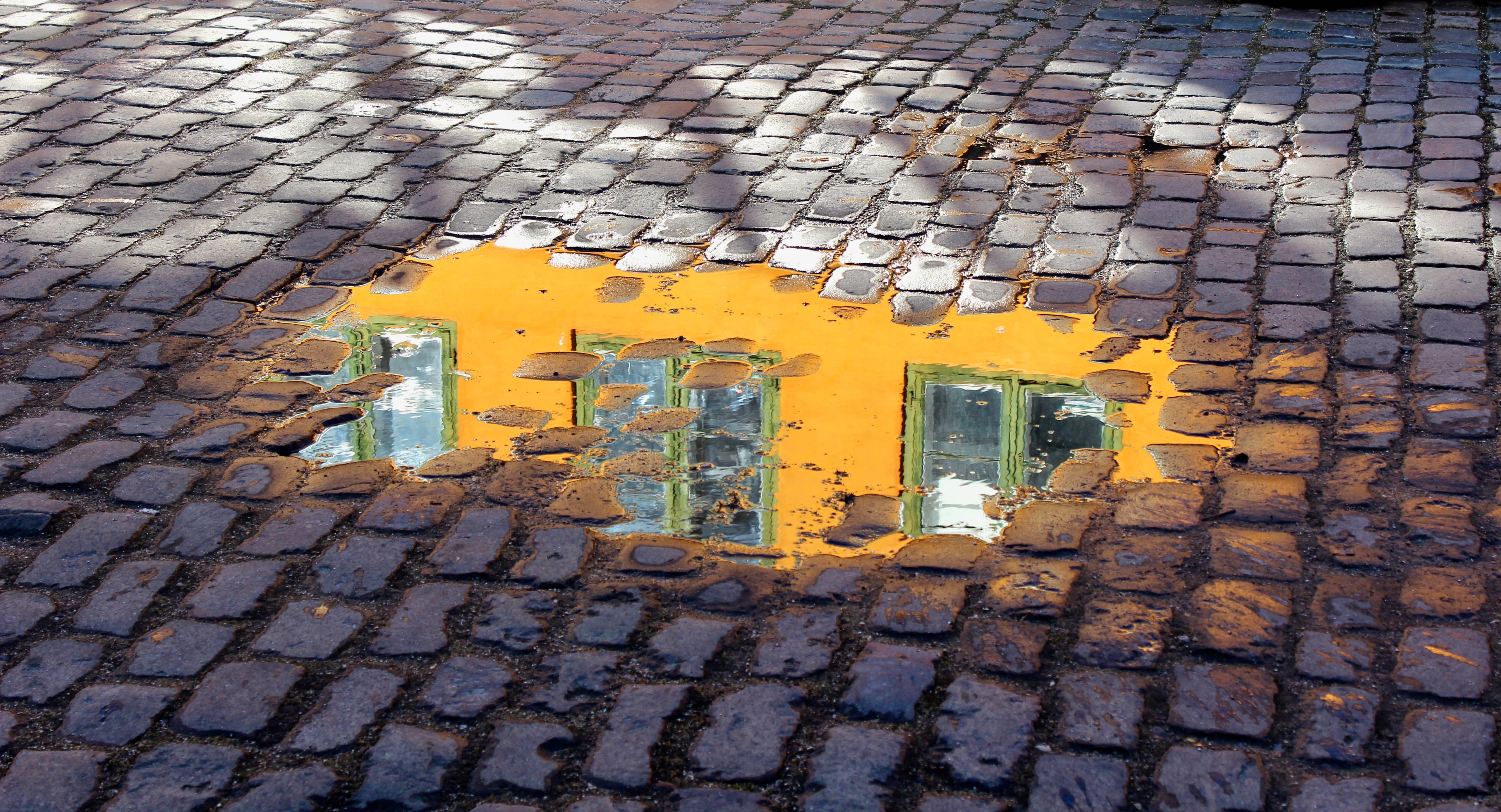 Glimpse. by Kelsey Layne — image 3 of 4