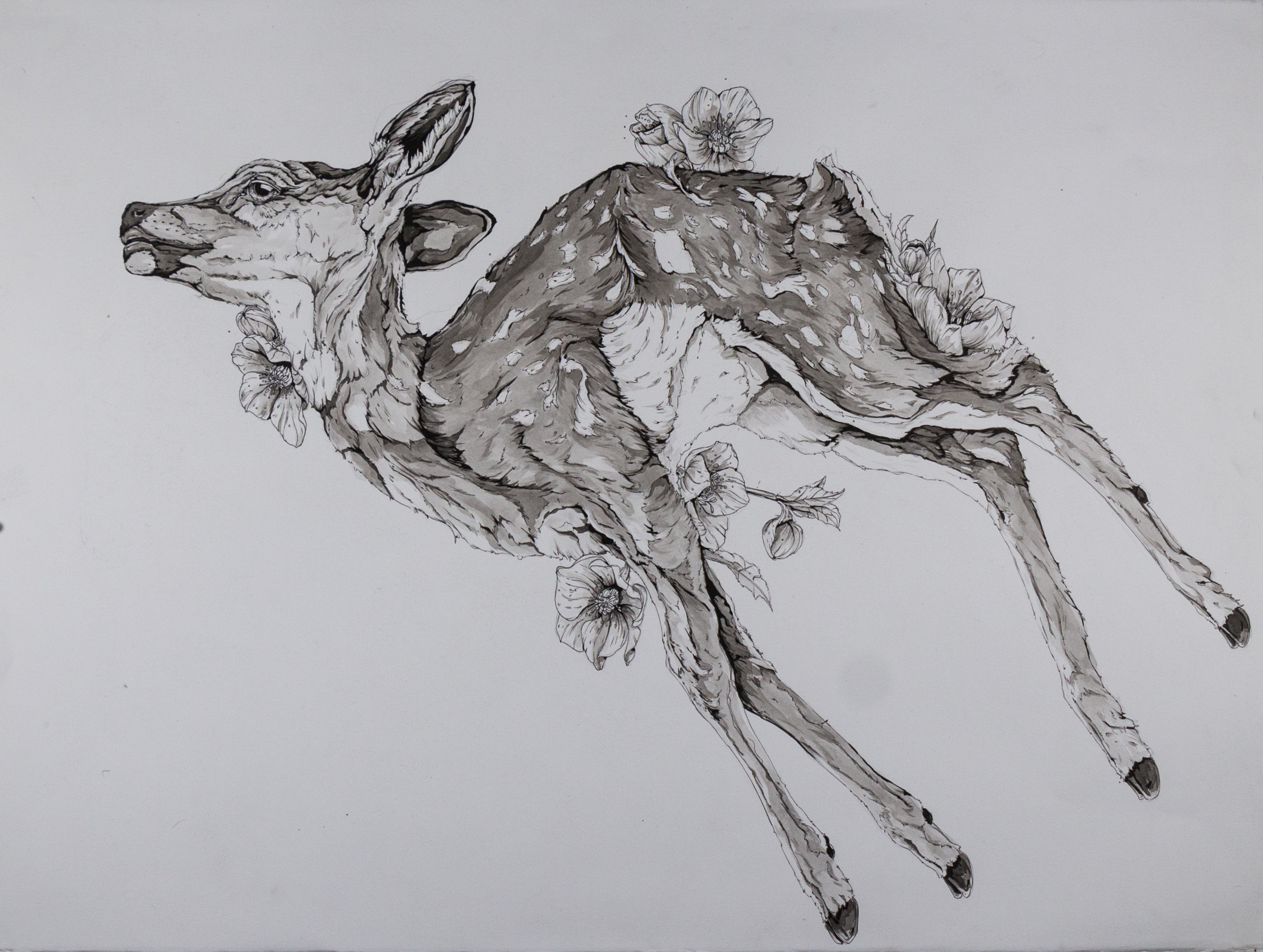 Illustrations by Alexander Landerman — image 4 of 5