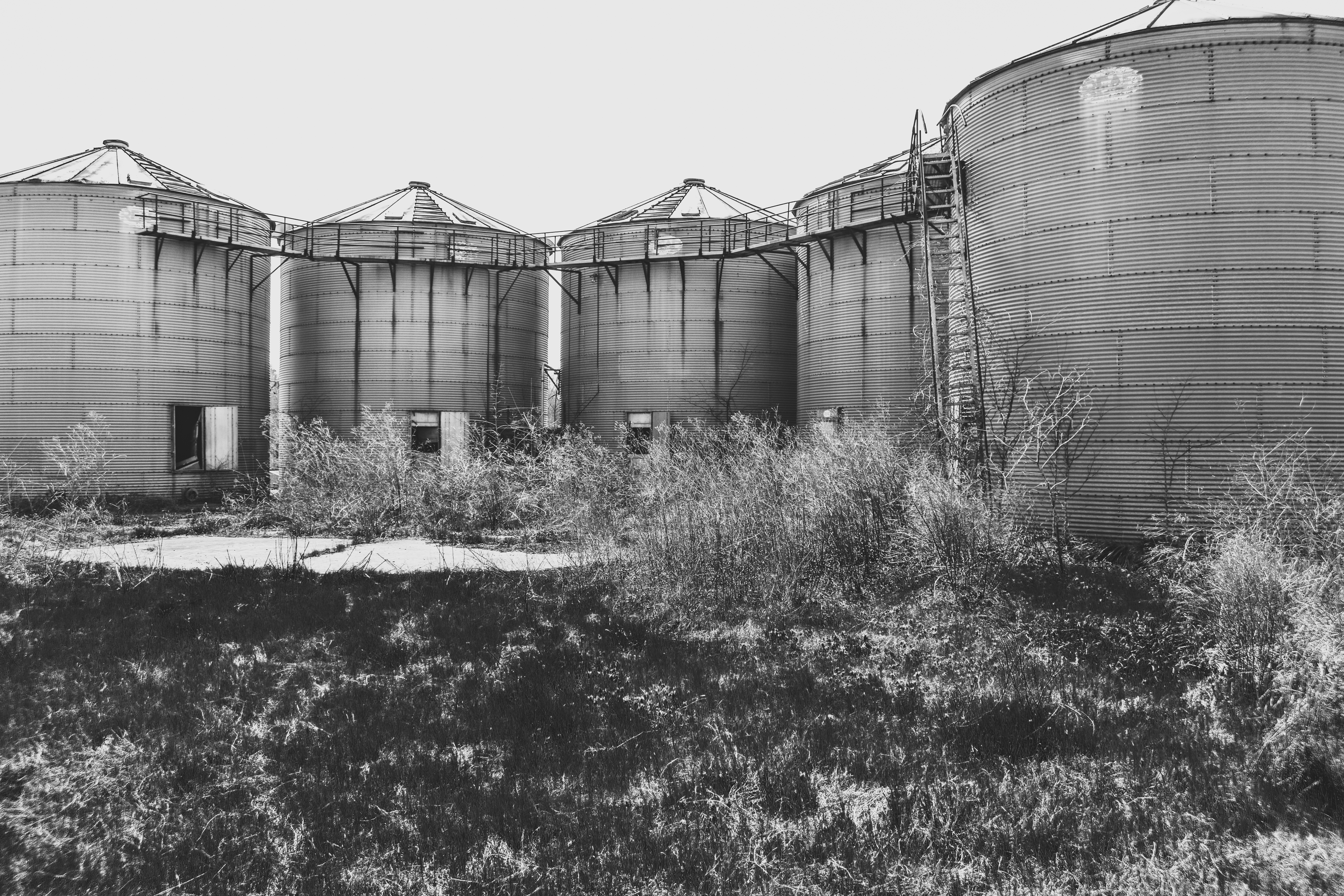 (Un)Natural by Nathan D Holloway — image 3 of 3