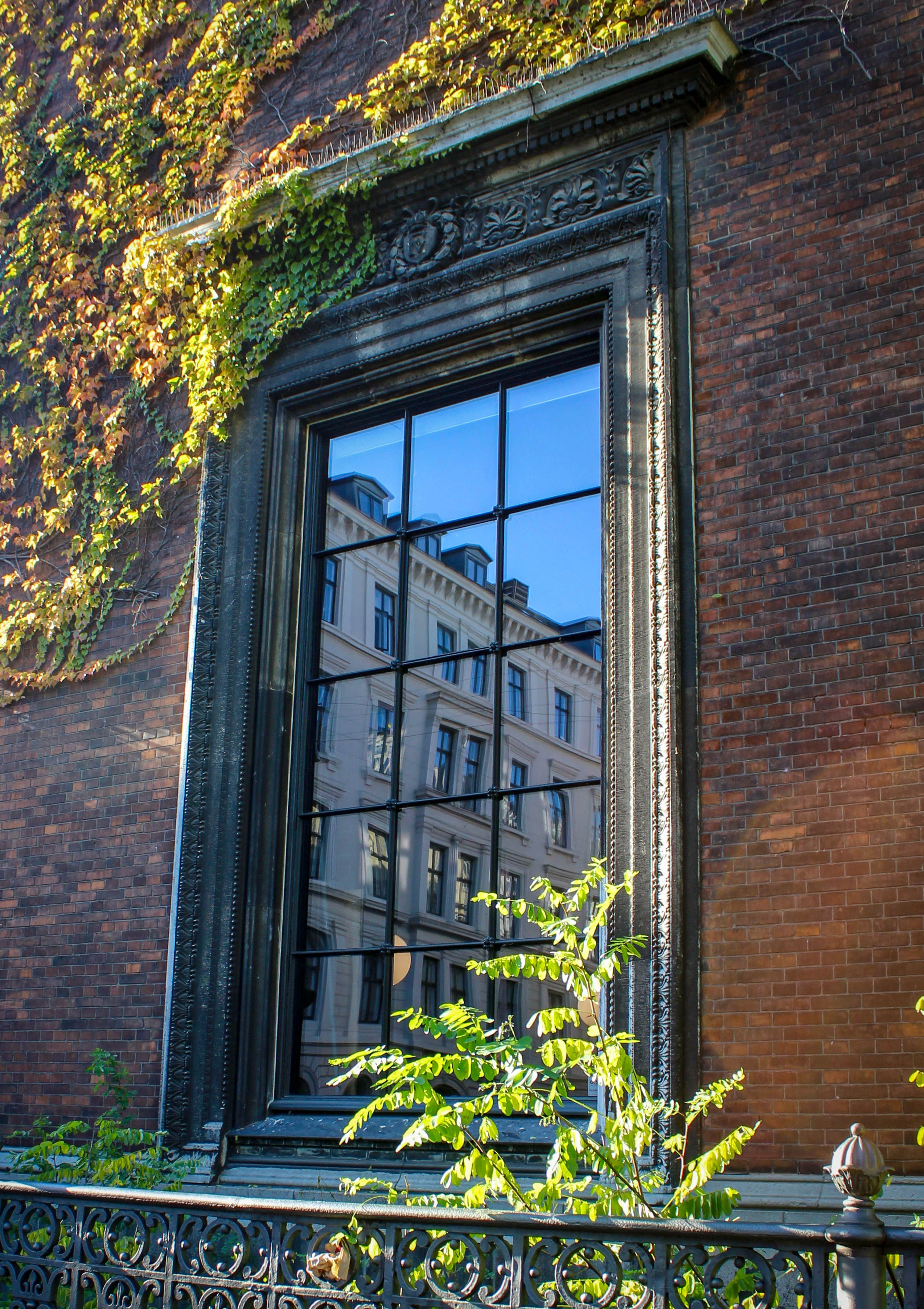 Glimpse. by Kelsey Layne — image 4 of 4