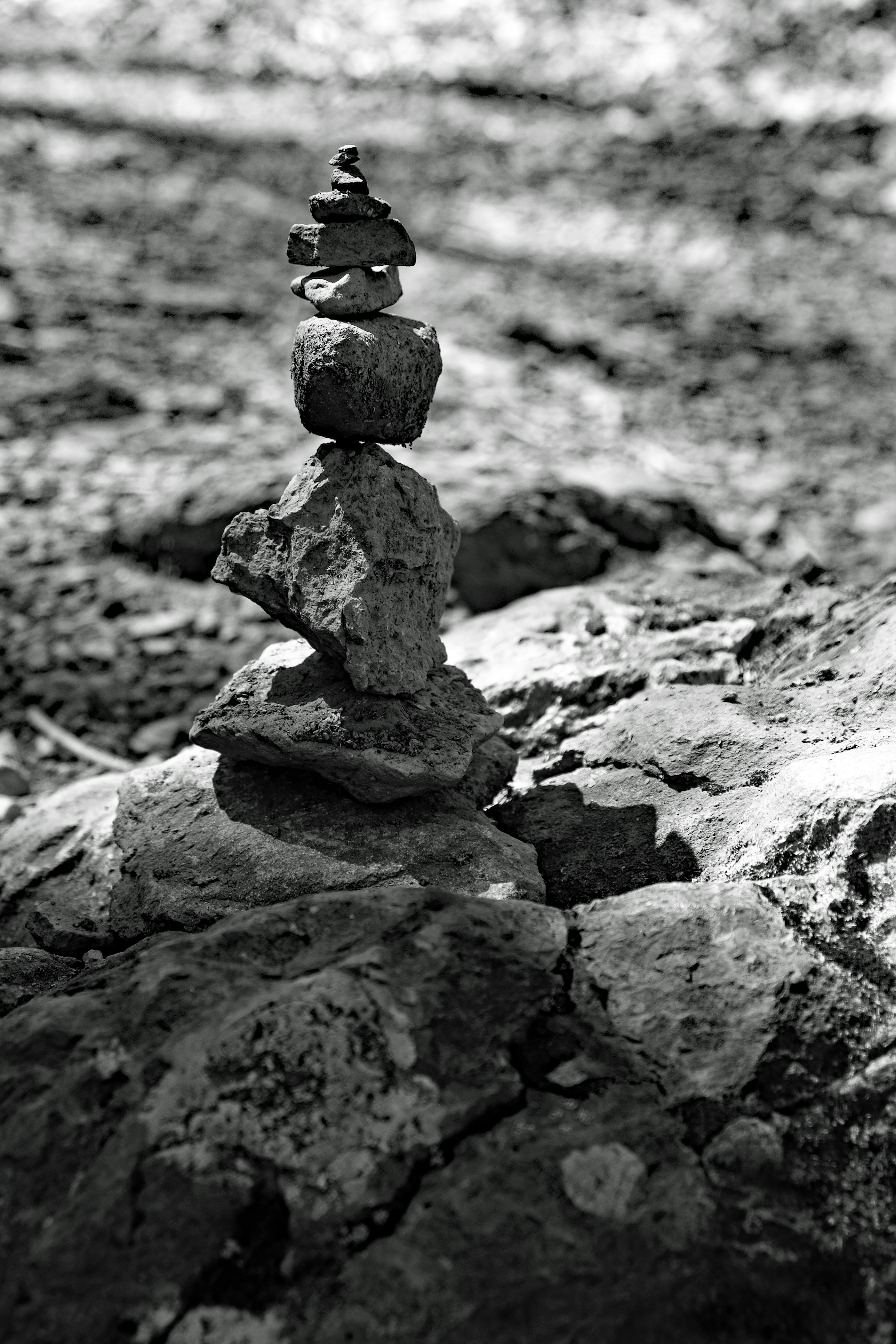 After the Journey by Sarah E N Kohrs — image 3 of 5