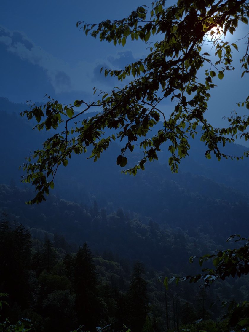 Photography ​ by Russell Whaley — image 3 of 4