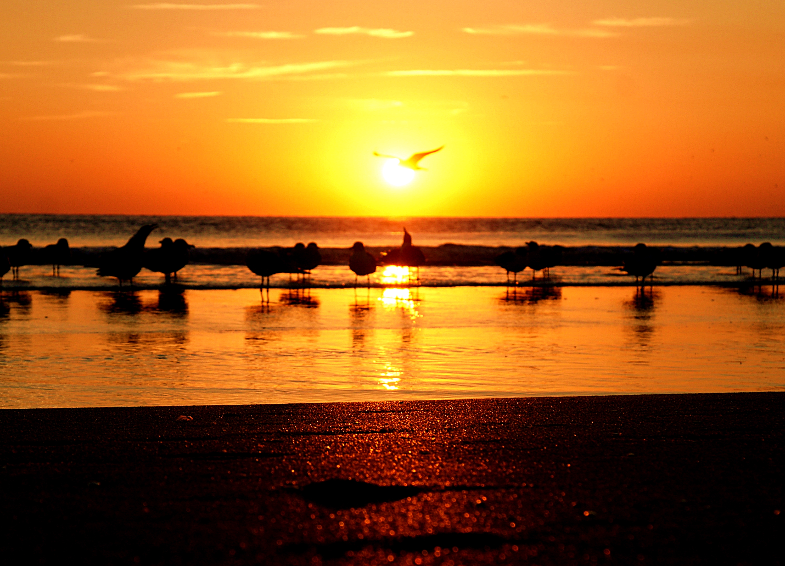 waiting for the sun by George L Stein — image 5 of 6