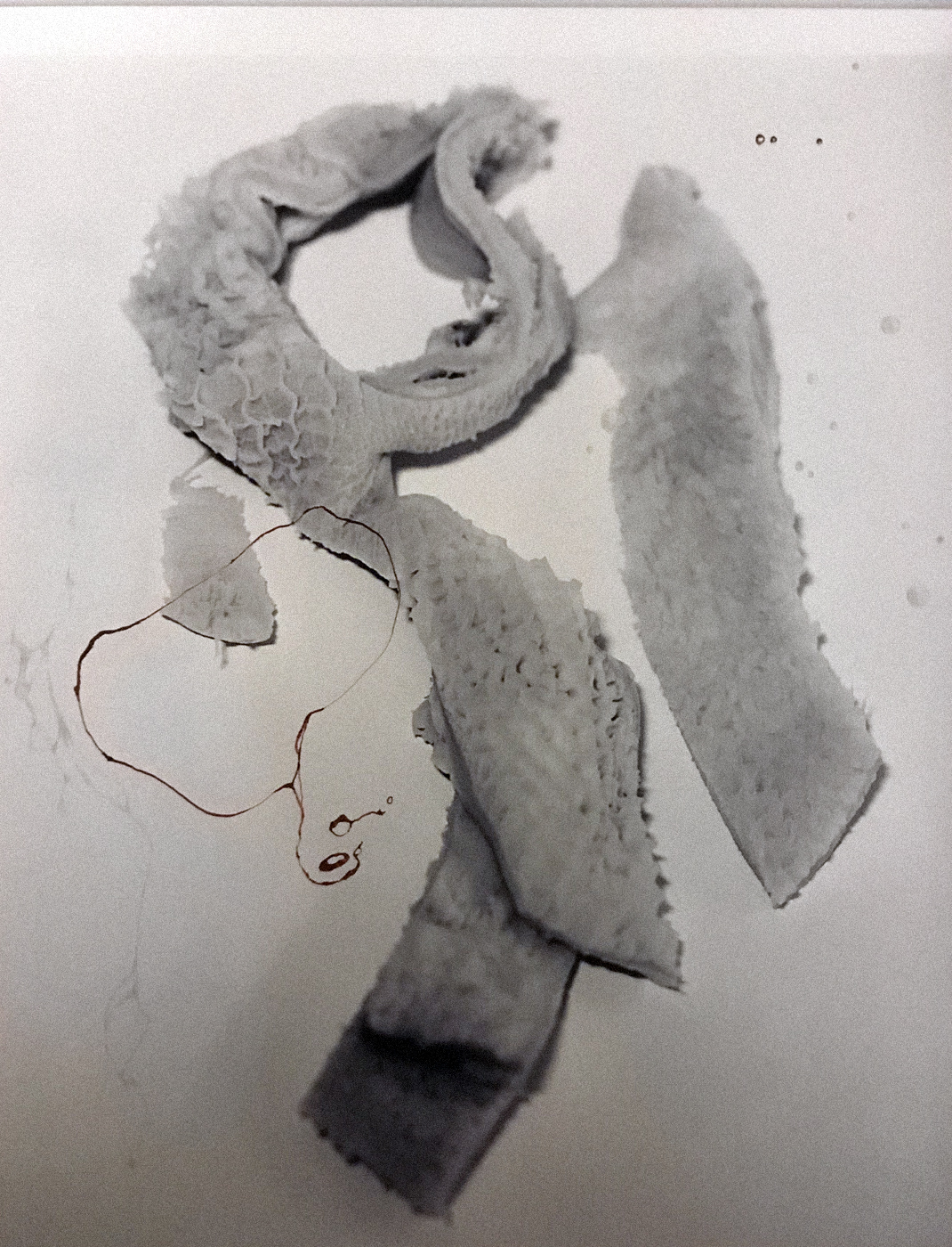 Haruspicy by Tara Cronin — image 4 of 5