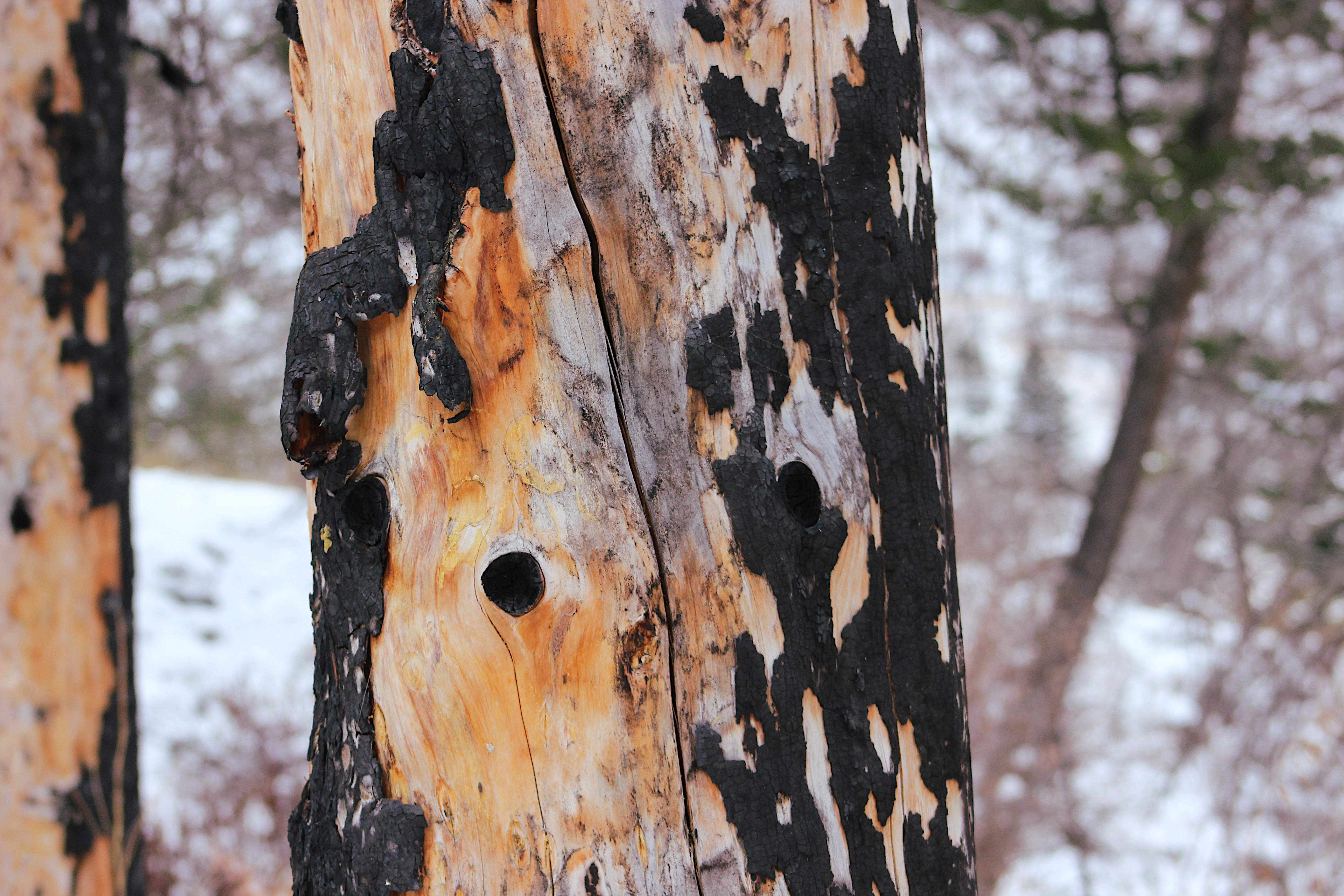 Photography by Corinna German — image 2 of 5