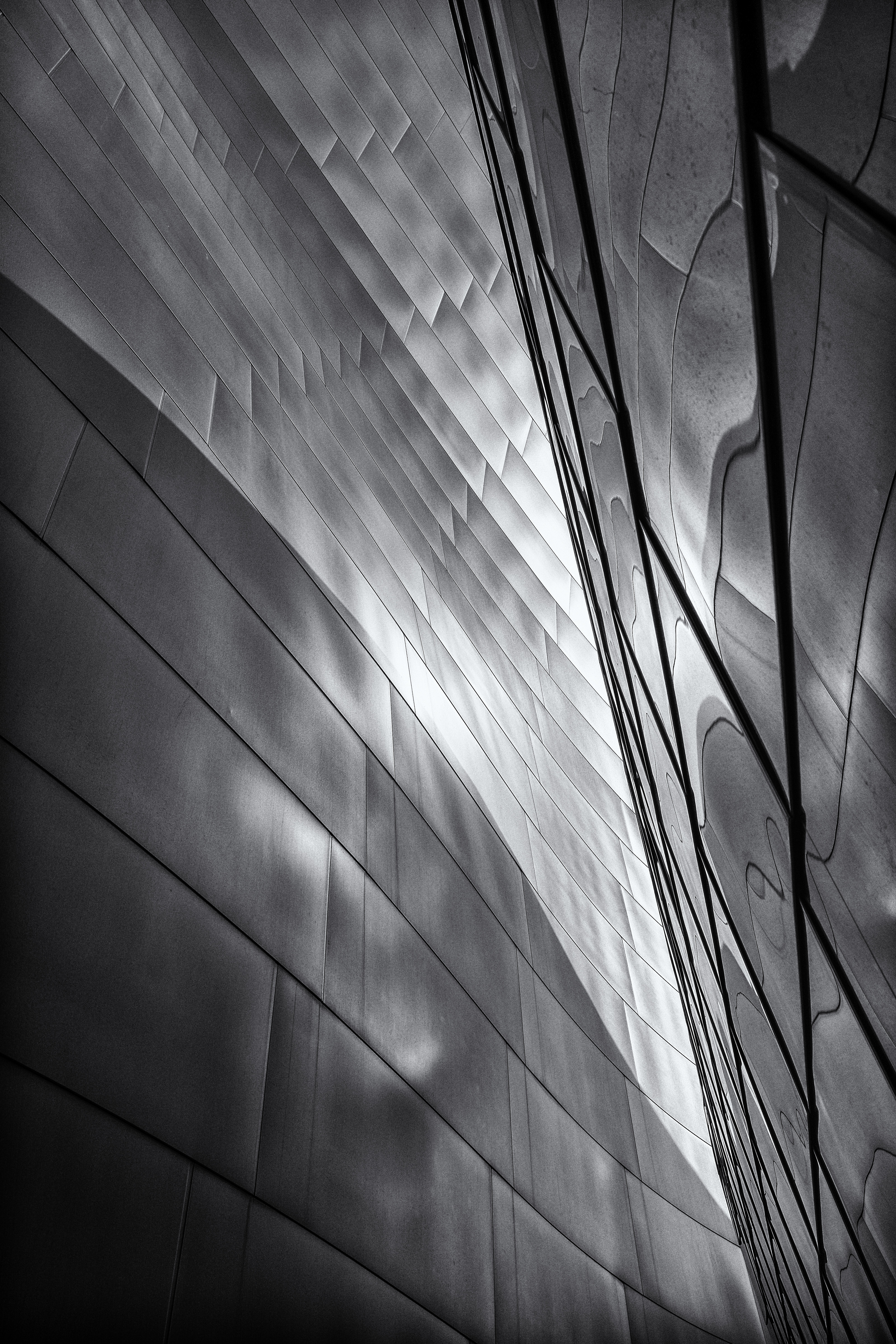 Lines & Curves by Jeremiah Gilbert — image 4 of 5