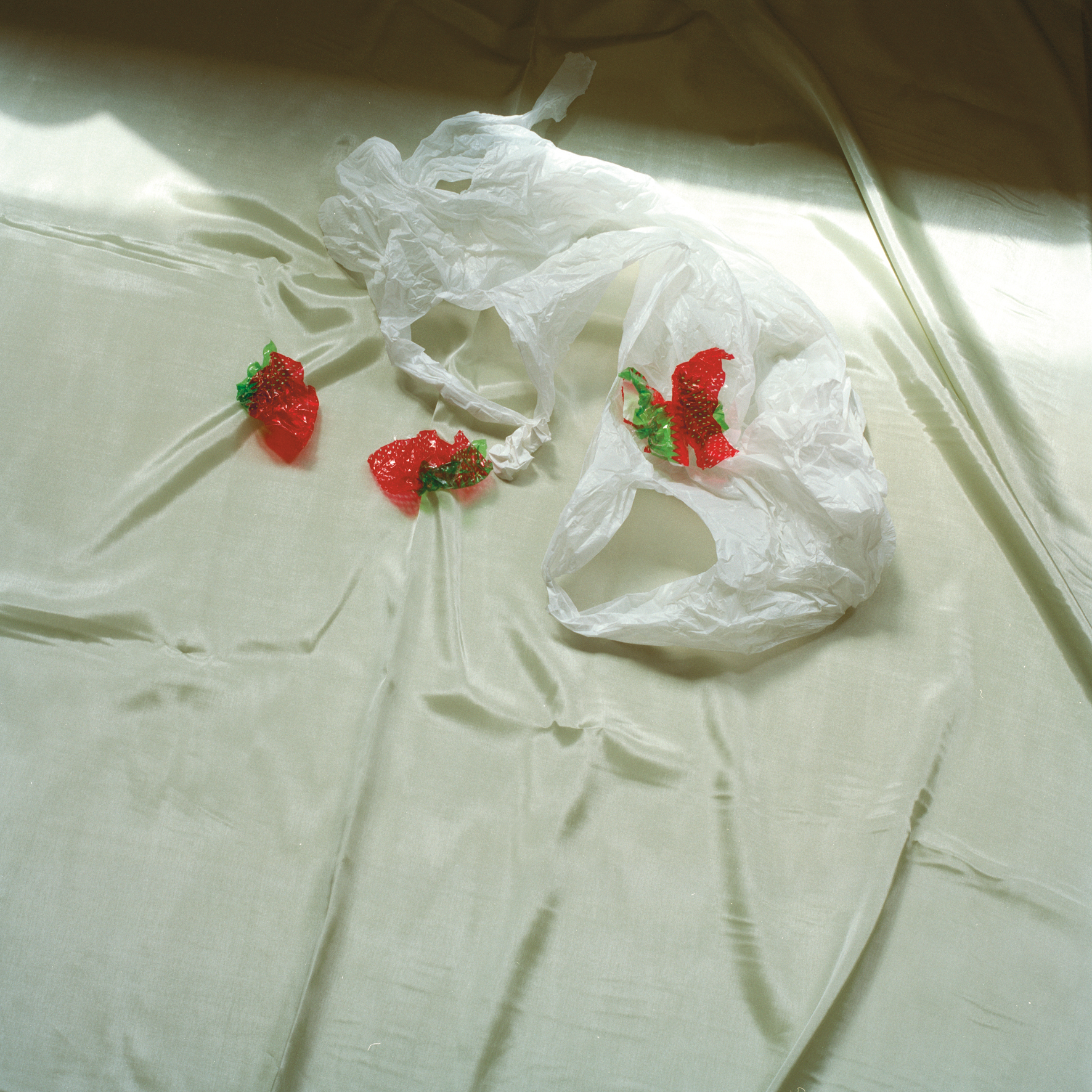 horror vacui by Pia Kintrup — image 5 of 5