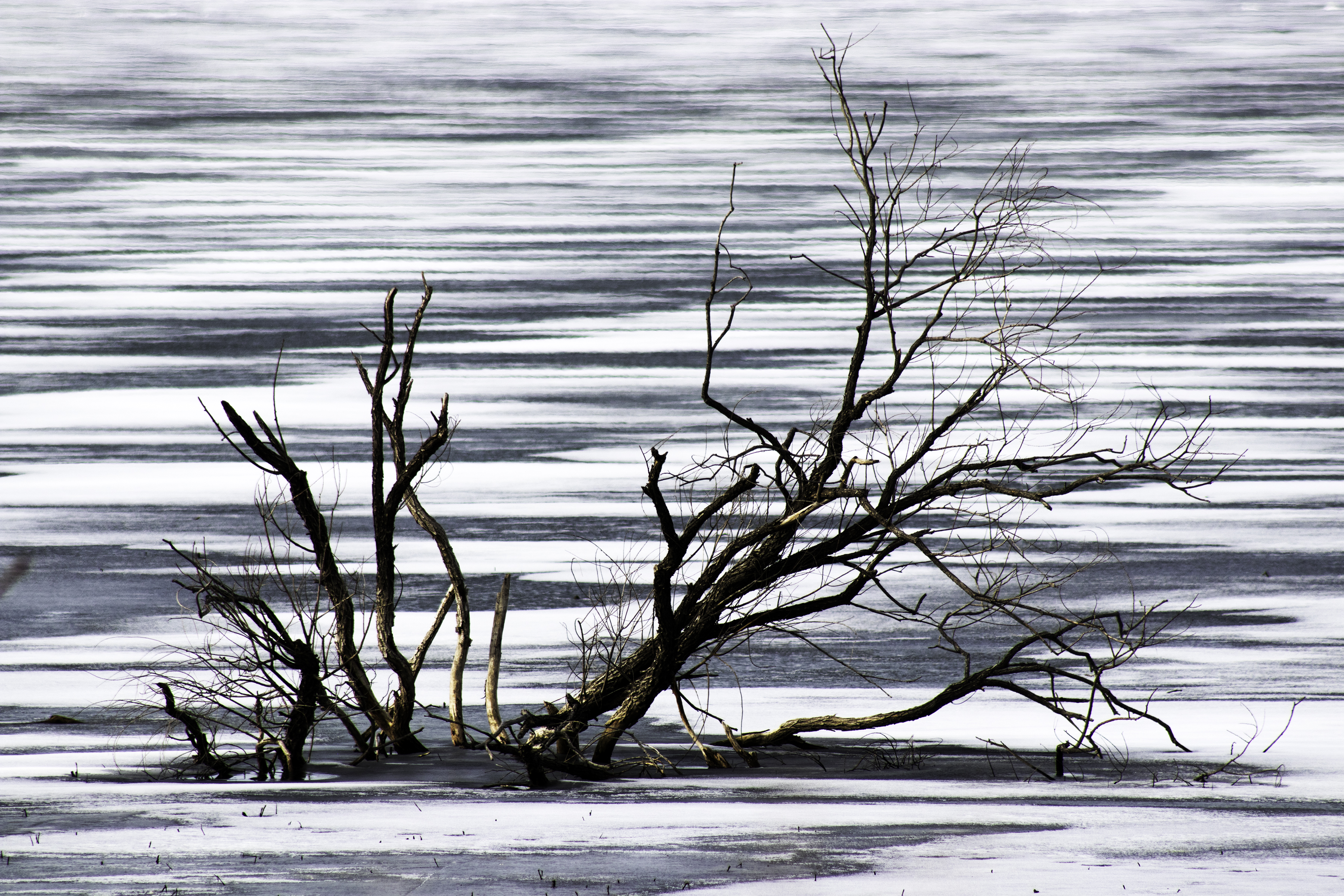 Winter Light by Jennie MacDonald's — image 3 of 5