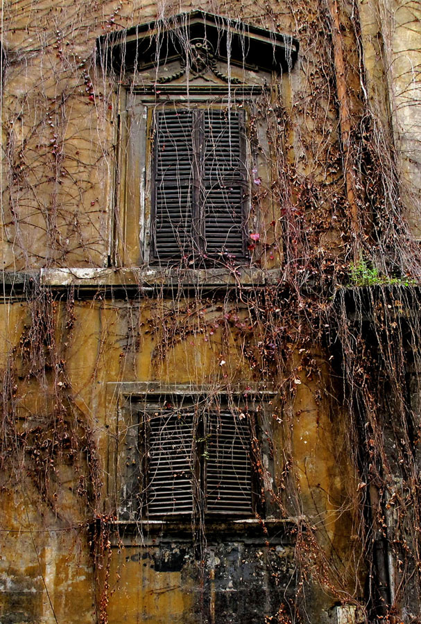 Photography by Creative Nonfiction — image 6 of 6