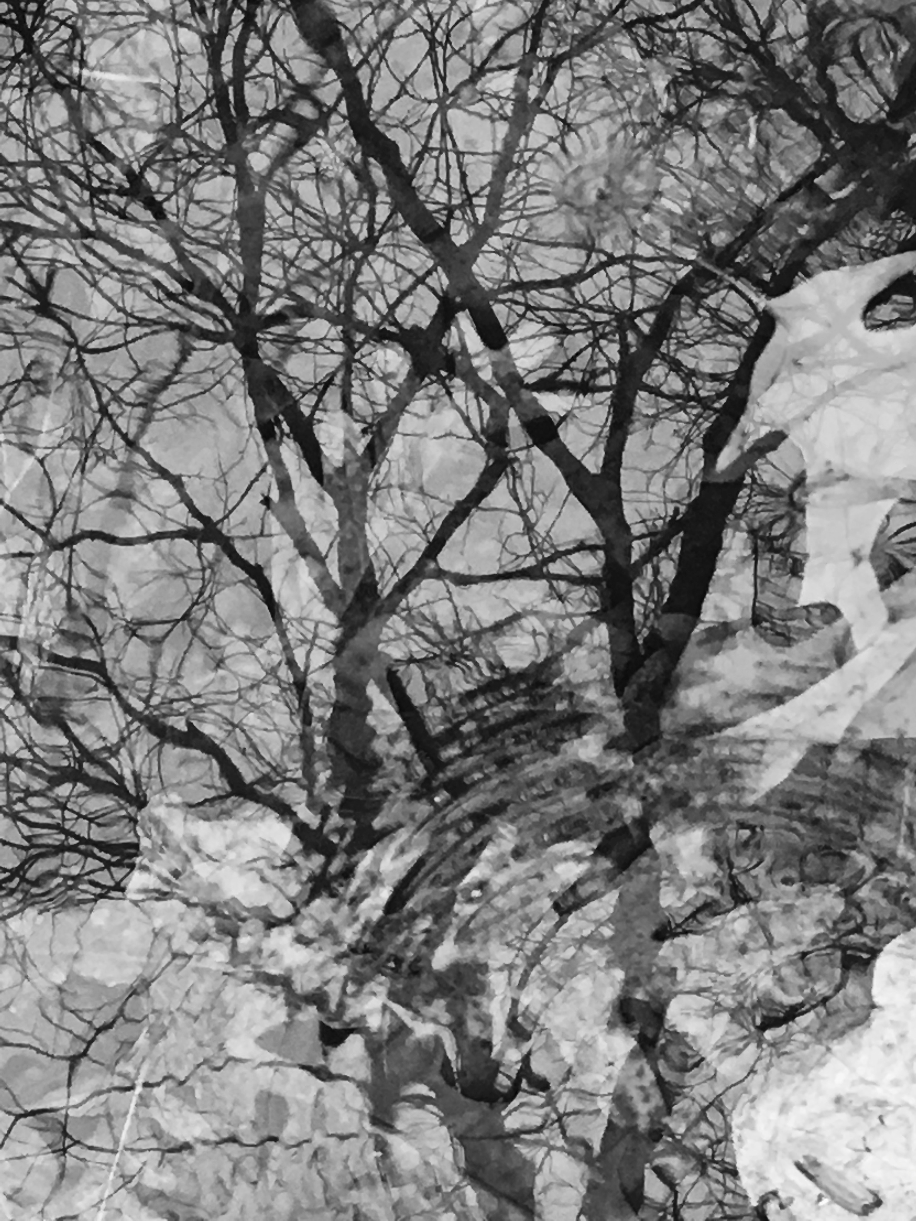 Black and White by Martha Nance — image 4 of 4