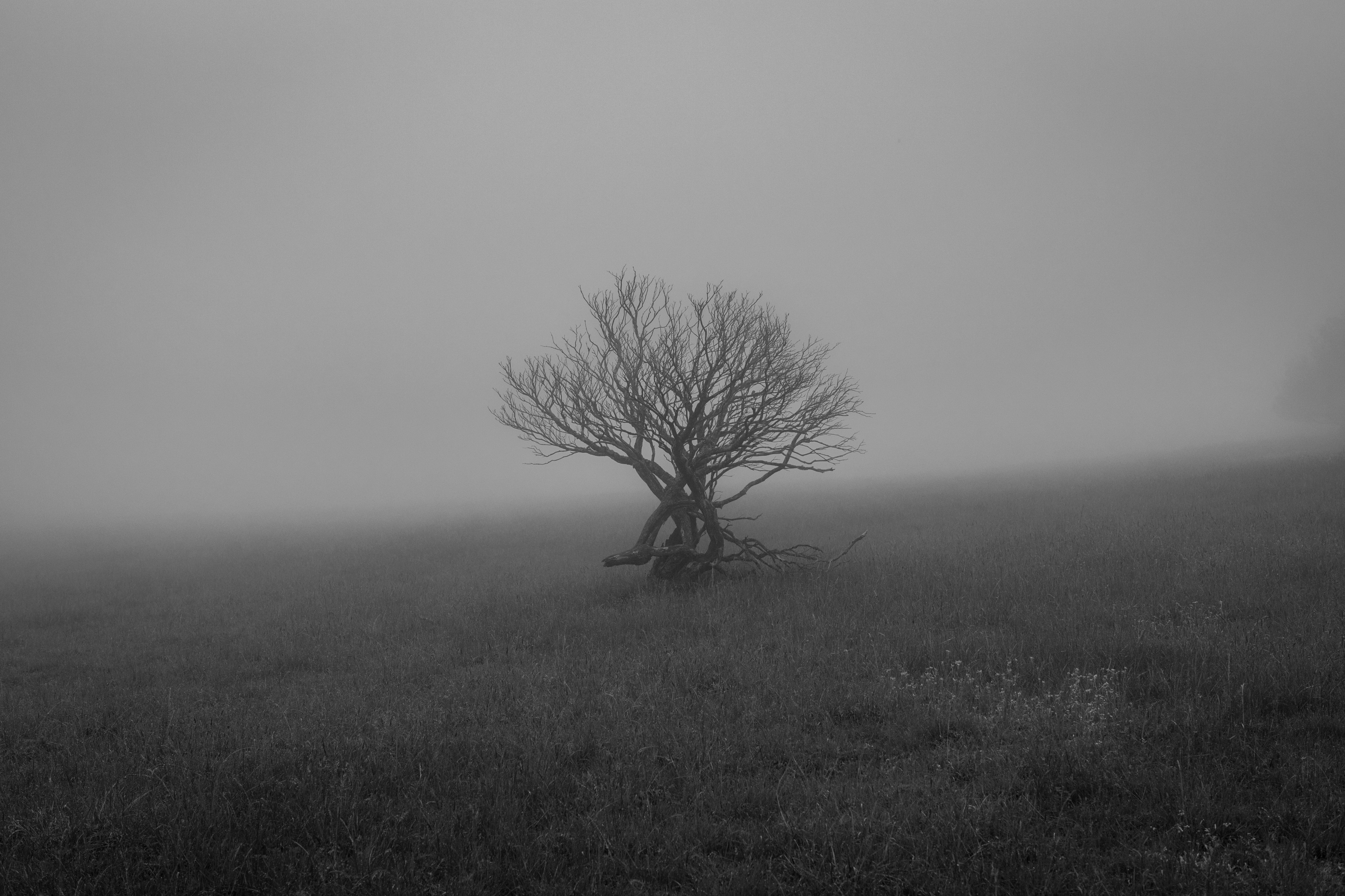 Escarpment Fog by Benjamin Erlandson — image 3 of 5