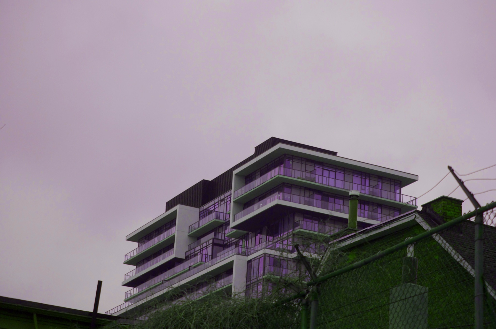 Purple City by Evan Palmer — image 4 of 4