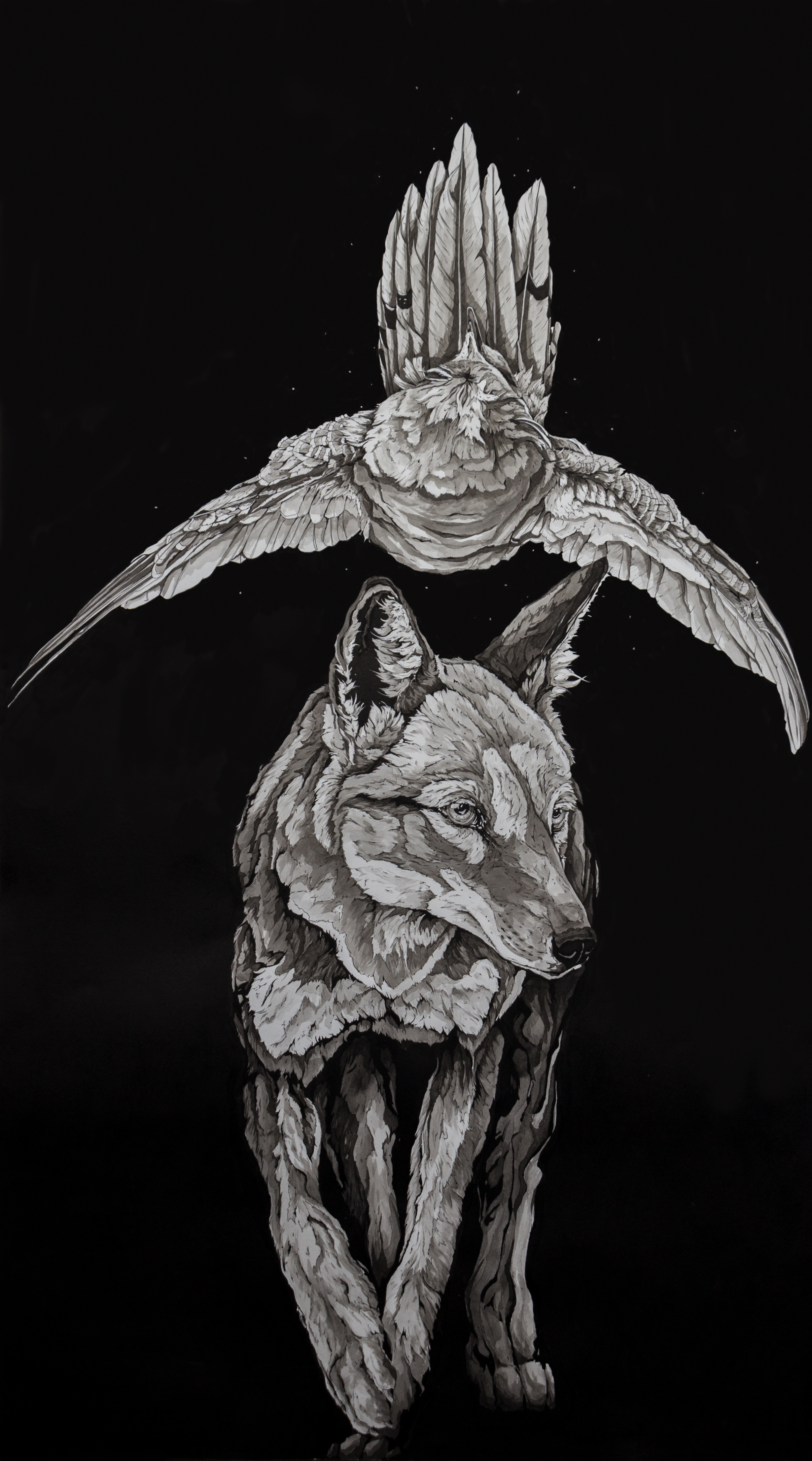 Illustrations by Alexander Landerman — image 5 of 5