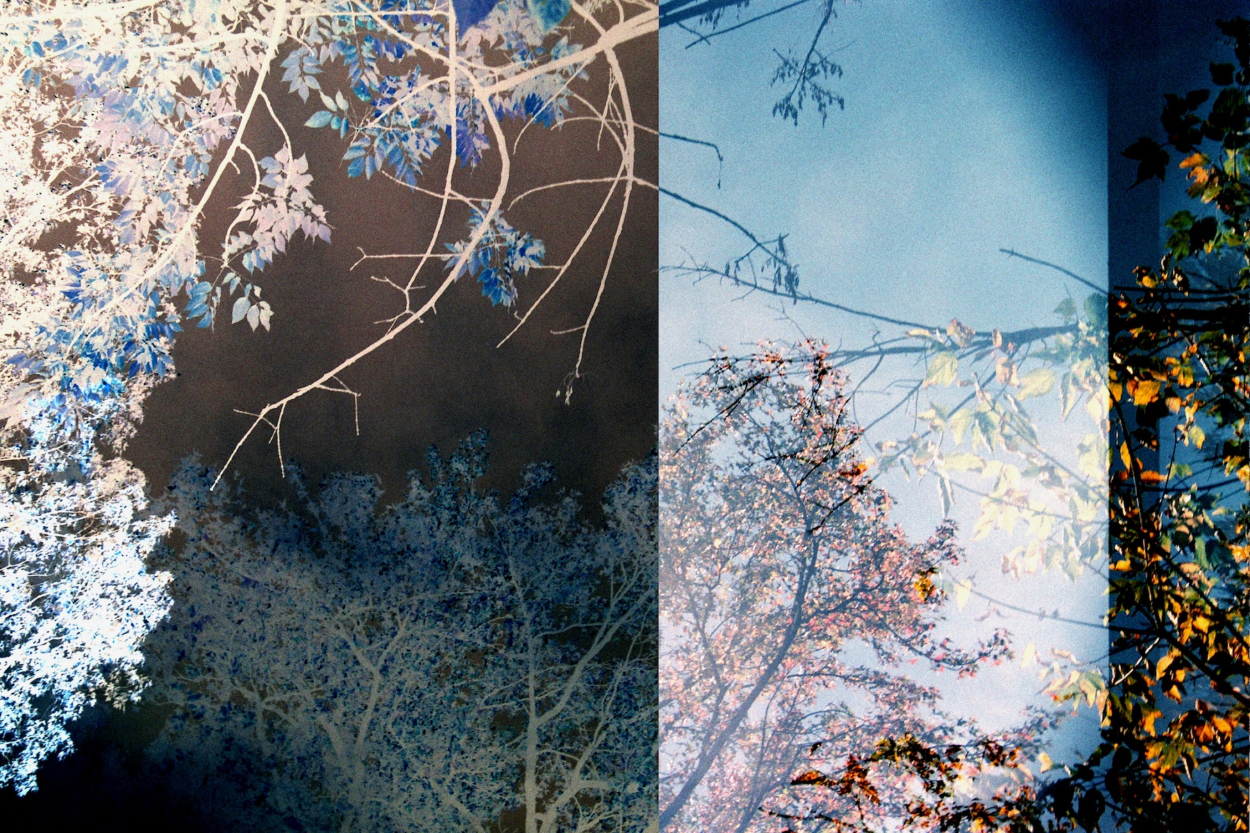 Transitory Space by Leah Oates — image 5 of 6