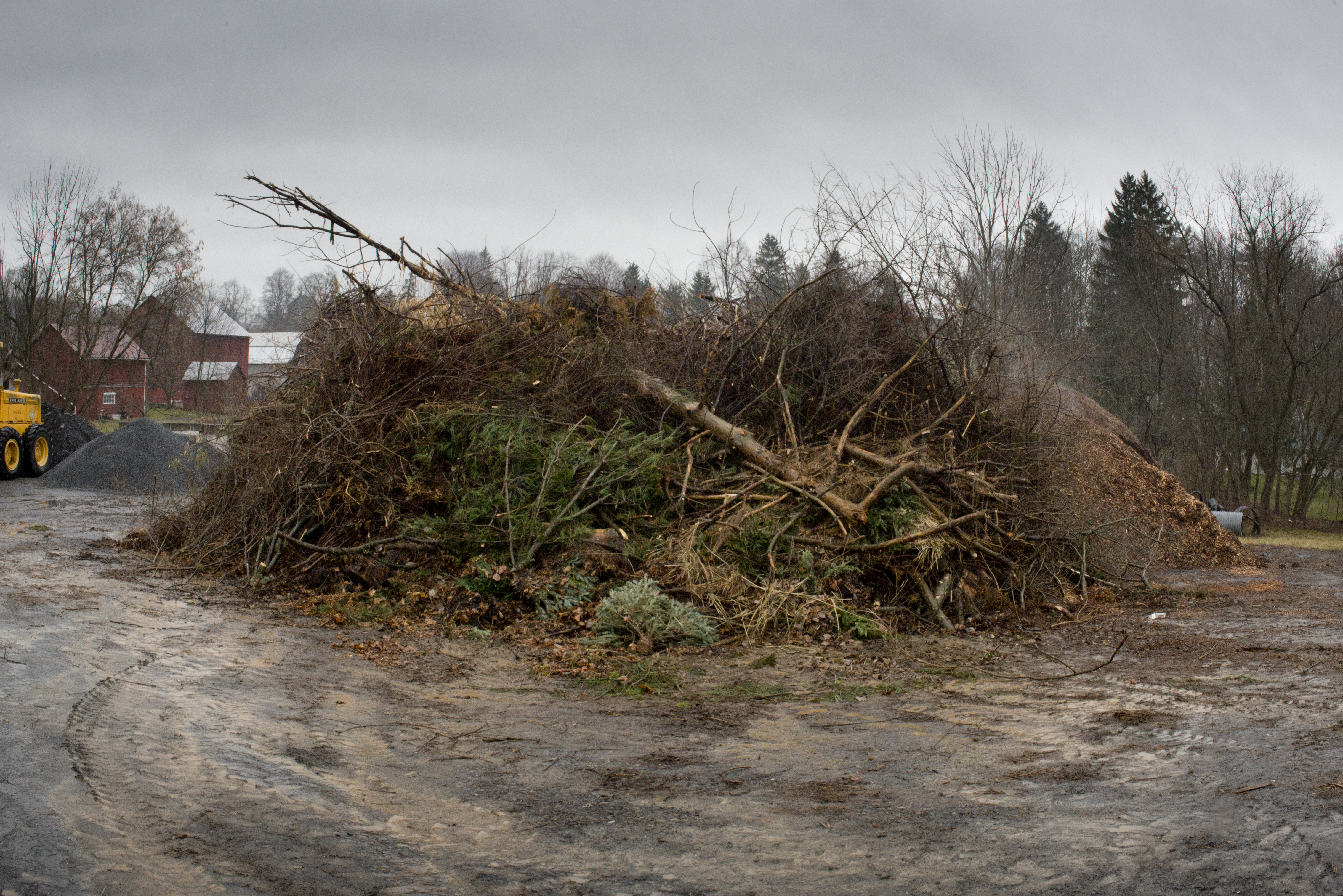 The Shape of A Feeling and by Nina Isabelle — image 4 of 5