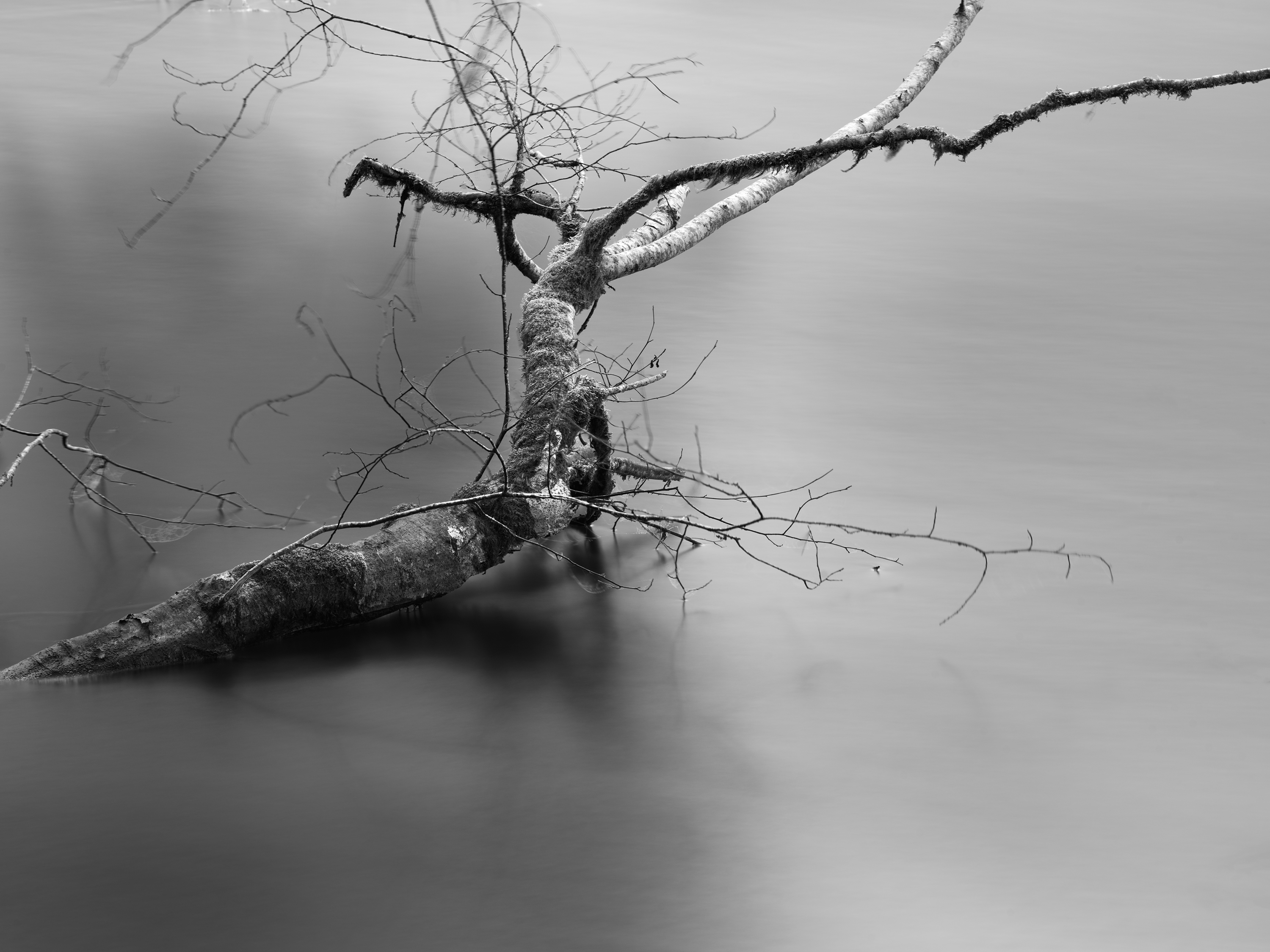 Everything is Full of Gods by Pacific Northwest — image 4 of 5